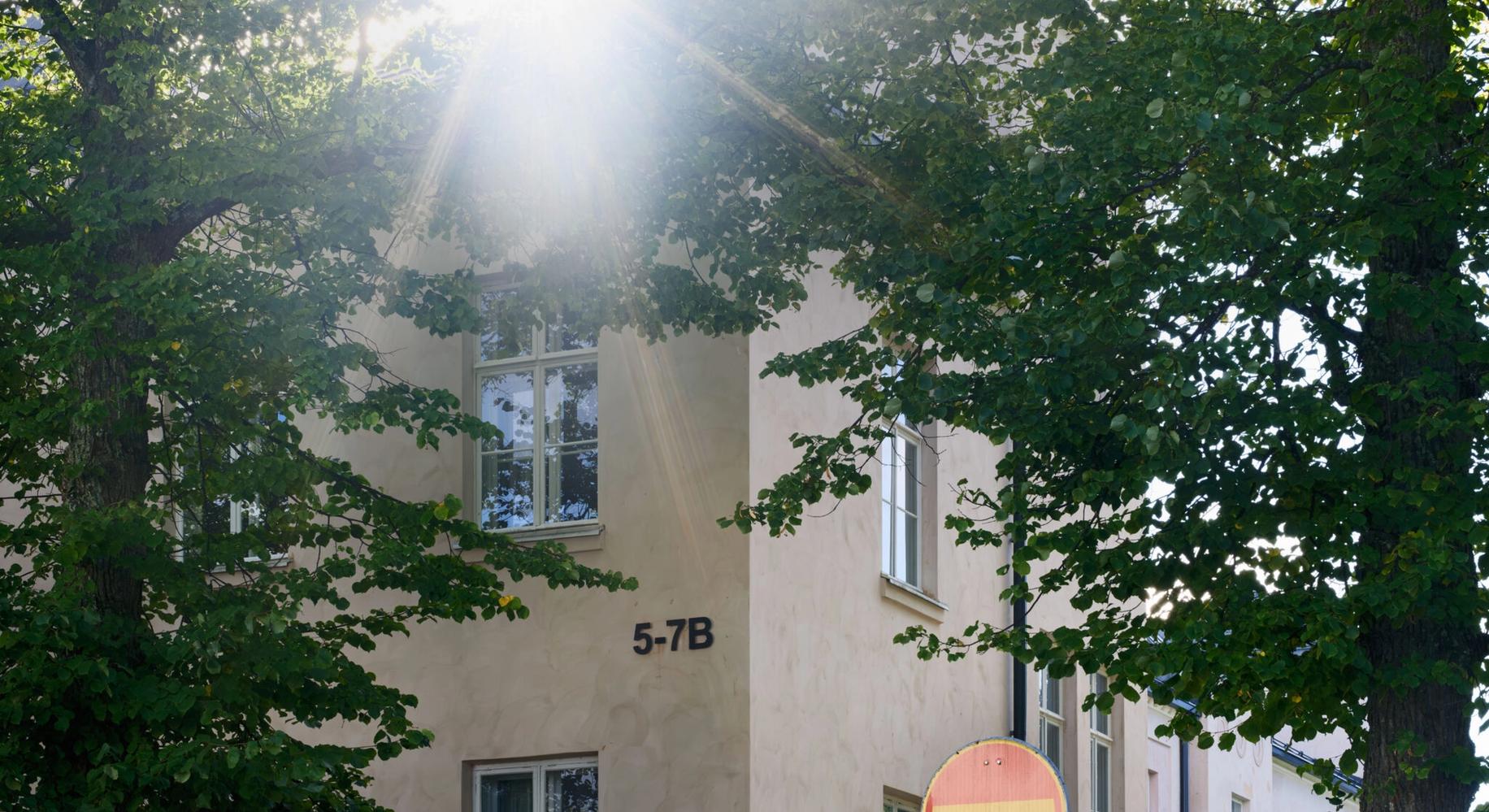 Солнечные лучи сквозь деревья у дома 5-7B (Auringonvalo puitten läpi talon 5-7B luona)