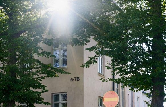 Солнечные лучи сквозь деревья у дома 5-7B (Auringonvalo puitten läpi talon 5-7B luona)