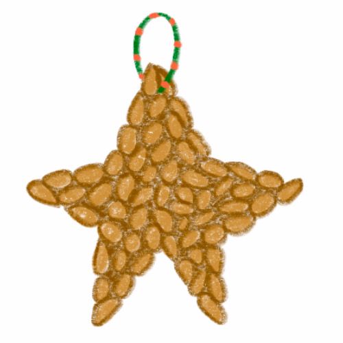 Елочная игрушка для птиц (Joulukoriste linnuille)