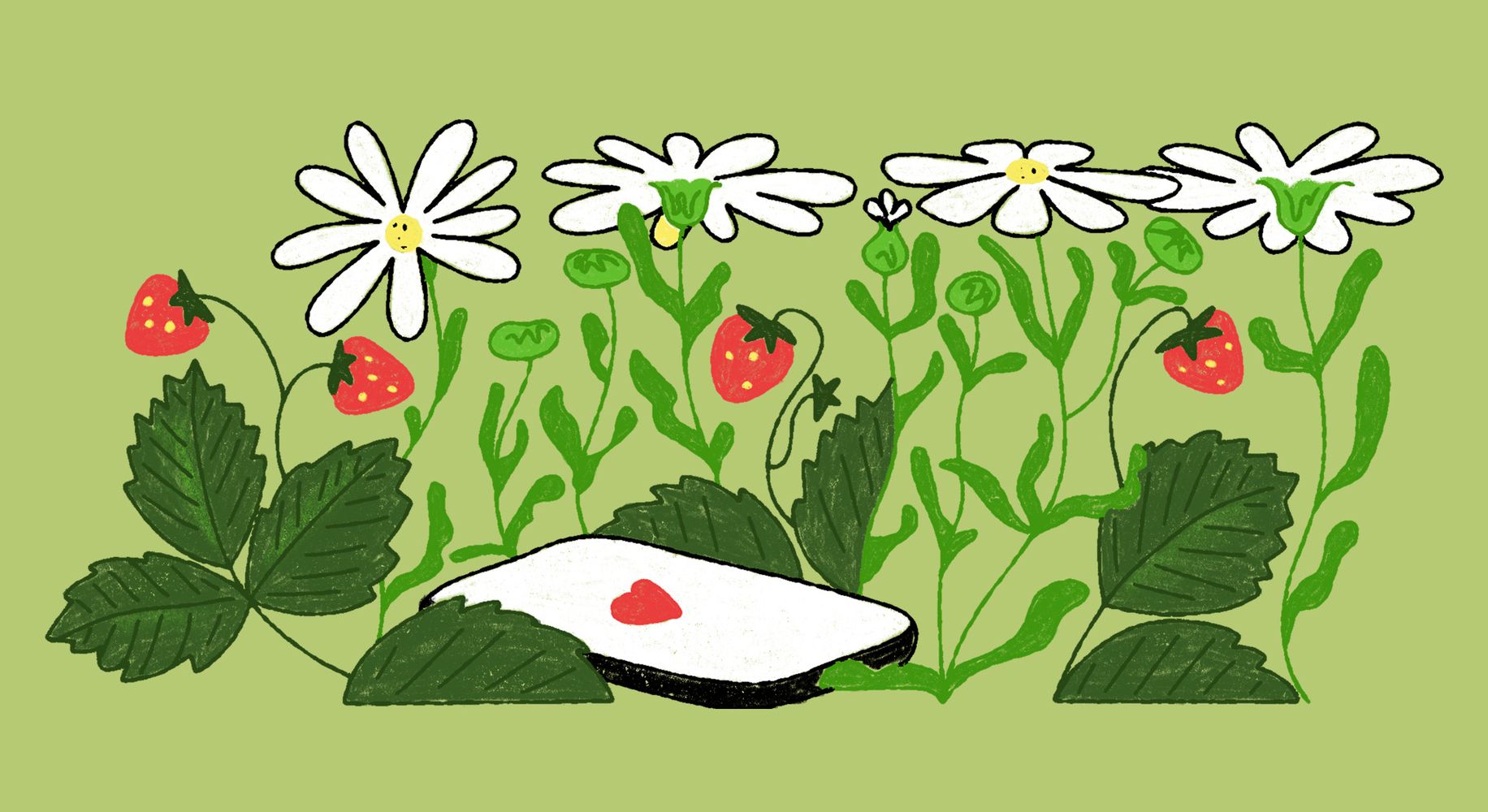 Иллюстрация: цветы на зелёном фоне (Kuvitus: kukkia vihreällä taustalla).