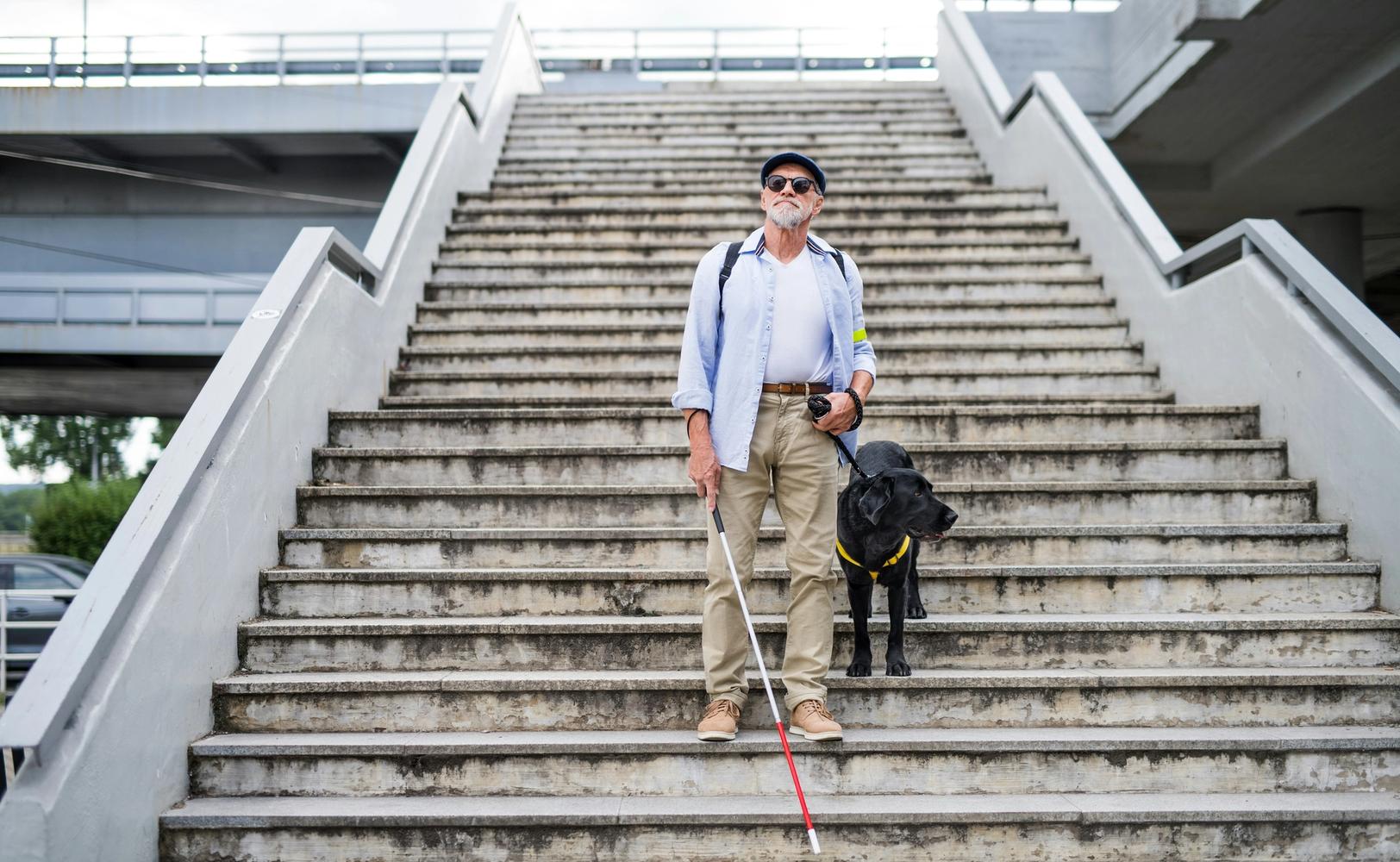 Мужчина и собака-поводырь на ступеньках (Mies opaskoirineen rappusilla)