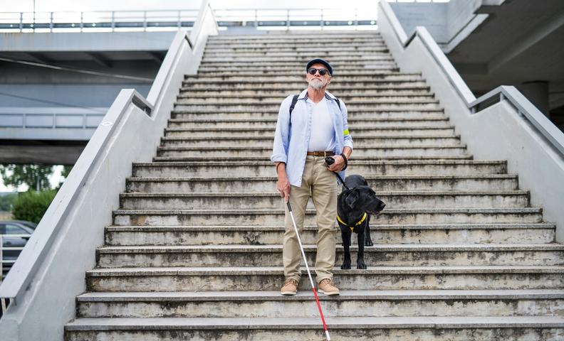 Мужчина и собака-поводырь на ступеньках (Mies opaskoirineen rappusilla)