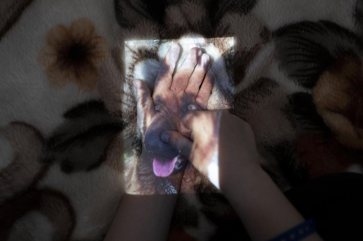 Детские руки на одеяле с проекцией собаки (Lapsen kädet peiton päällä, koiran kuva heijastuu niiden päälle)