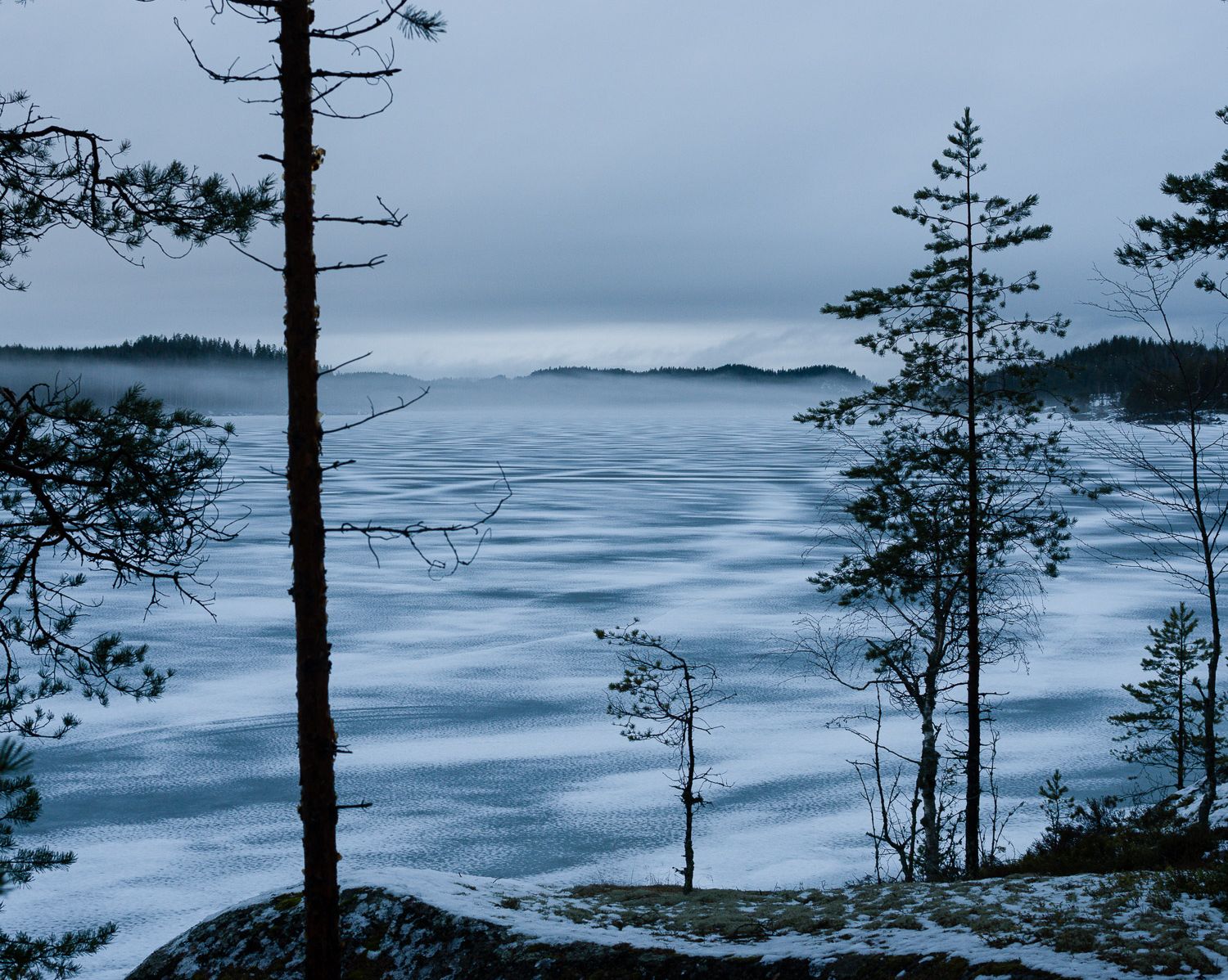 Замёрзшее озеро и деревья на берегу (Jäätynyt järvi ja puita rannalla)