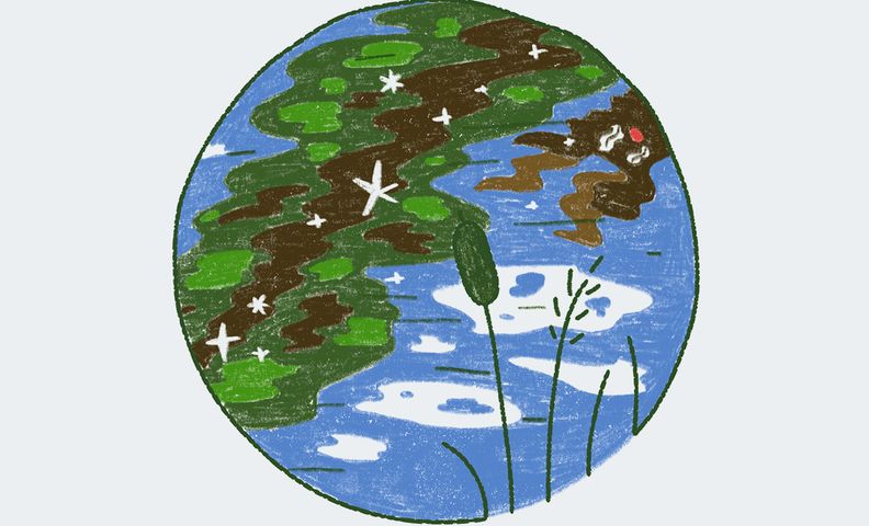 Декоративная иллюстрация (Koristeellinen kuvitus).