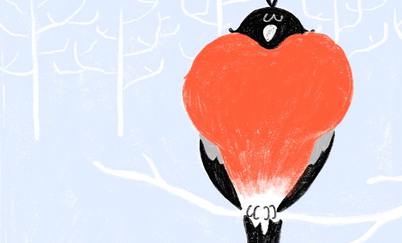 Иллюстрация: воробей и снегирь на ветке зимой (Kuvitus: varpunen ja punatulkku oksalla talvella)