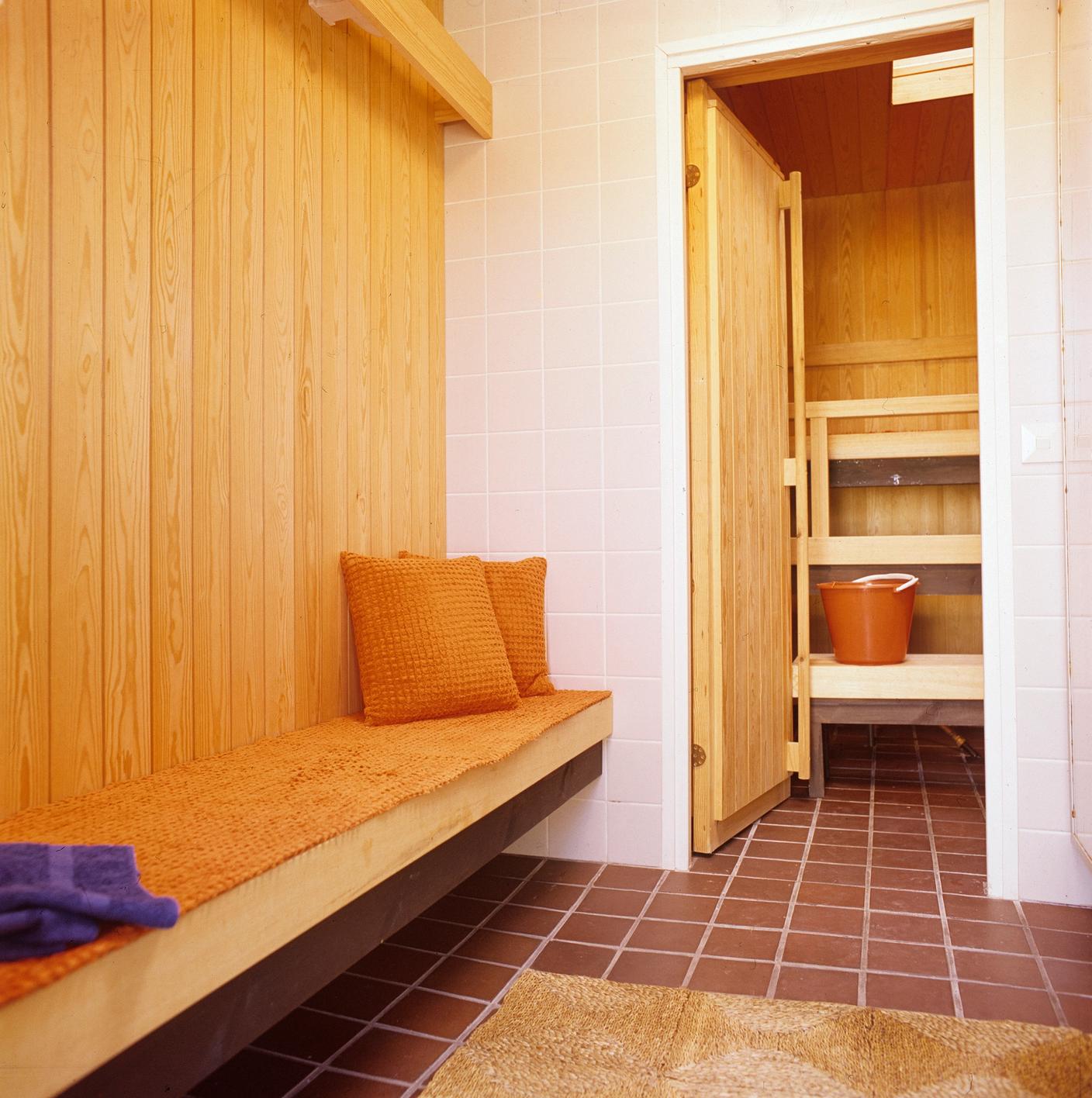 Bonin, Volker von. Saunatilat, 1970-luku. Museovirasto.