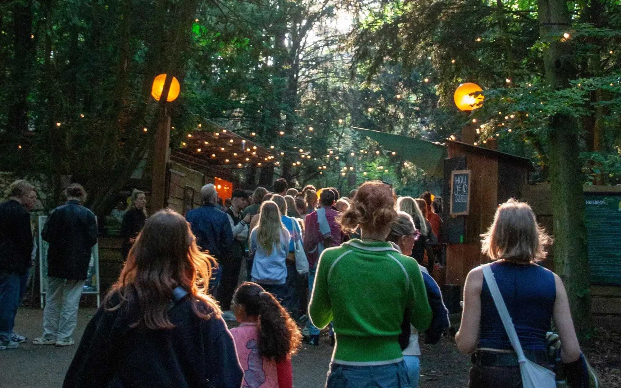 The Forest After Dark
