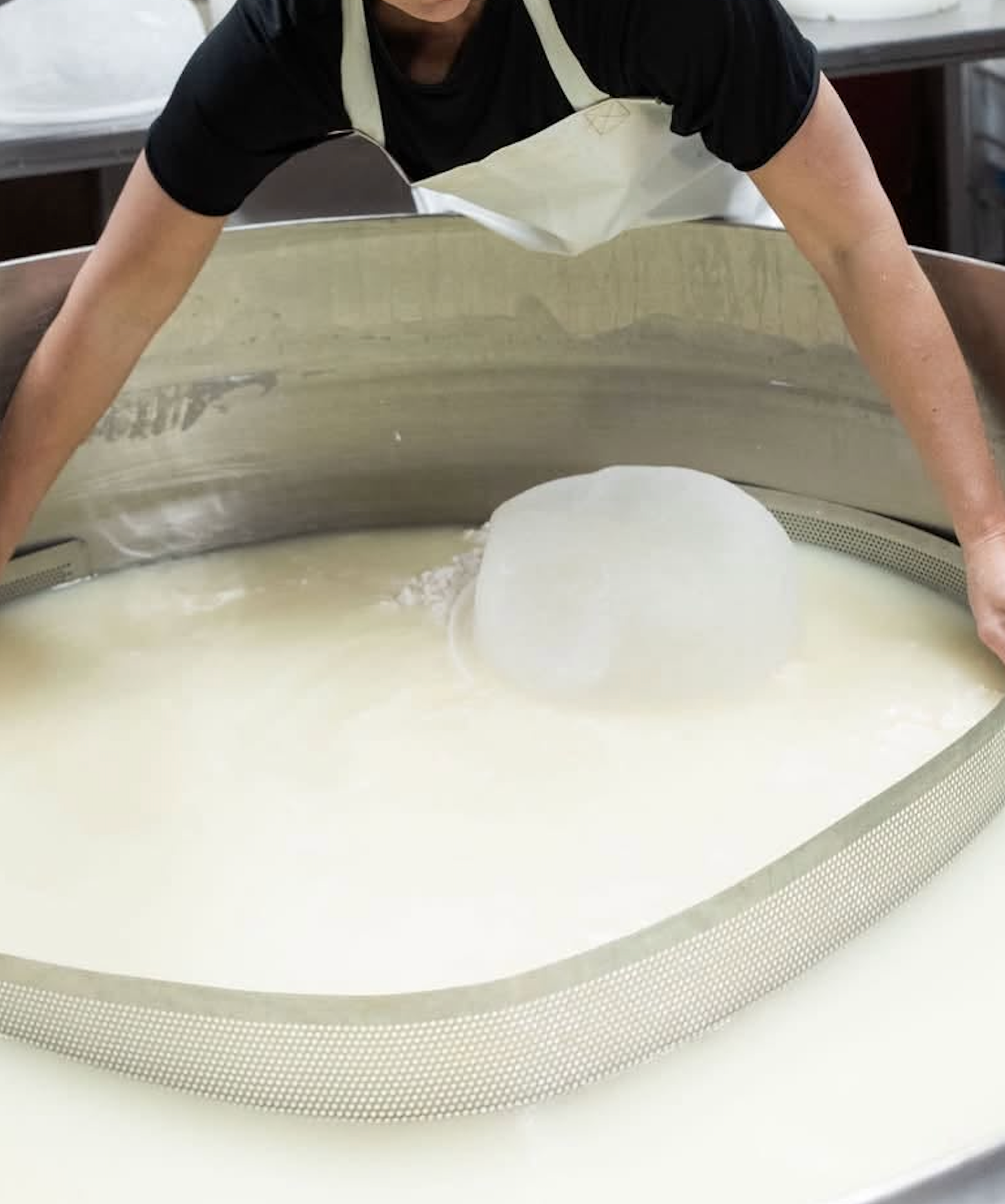 Make cheese. Stay for the afternoon.
