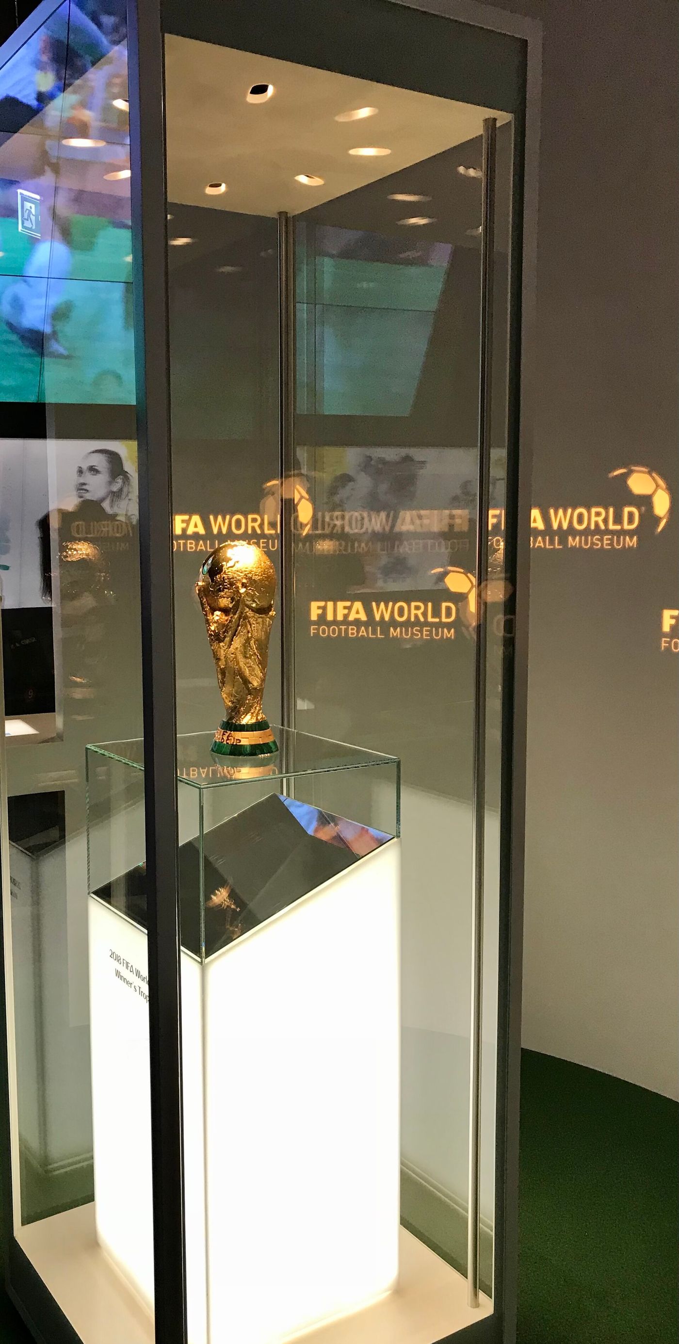 The FIFA World Cup trophy on display
