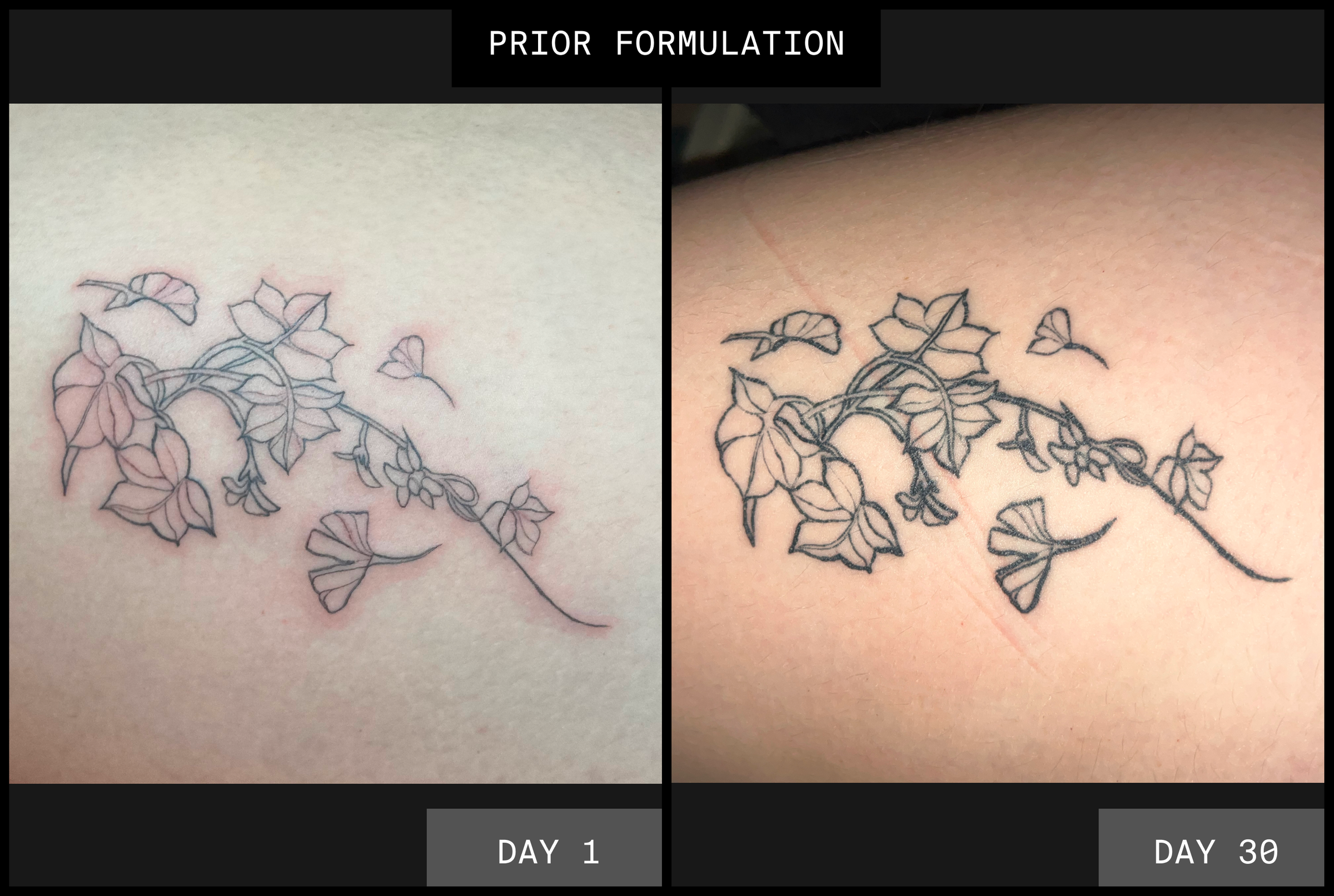 Temporary Garden Tattoo Reformulated Ephemeral