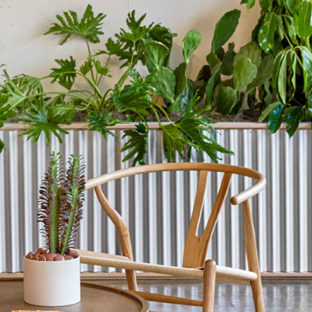 The Plant Project plant wall