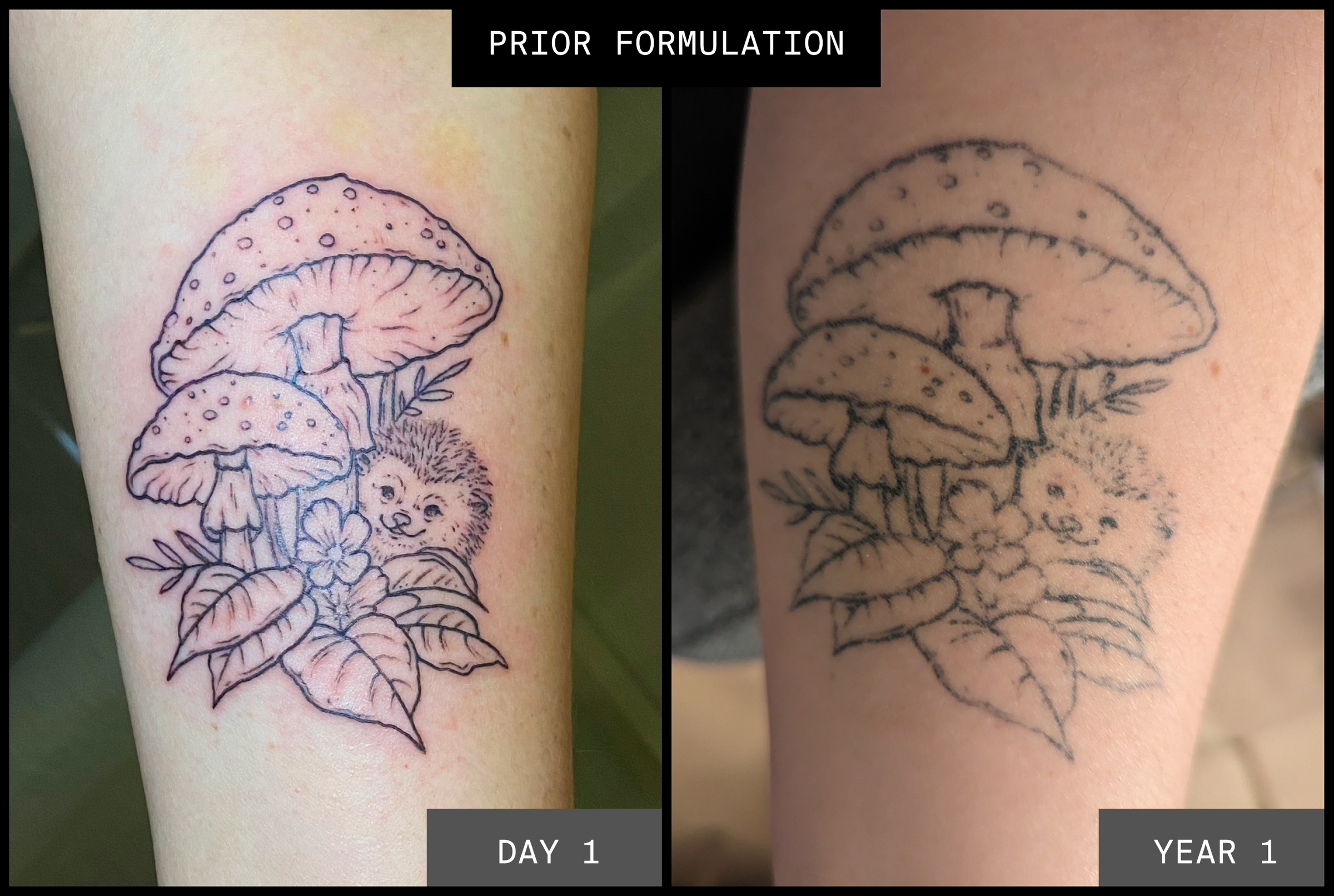 Temporary Mushroom Tattoo Reformulated Ephemeral