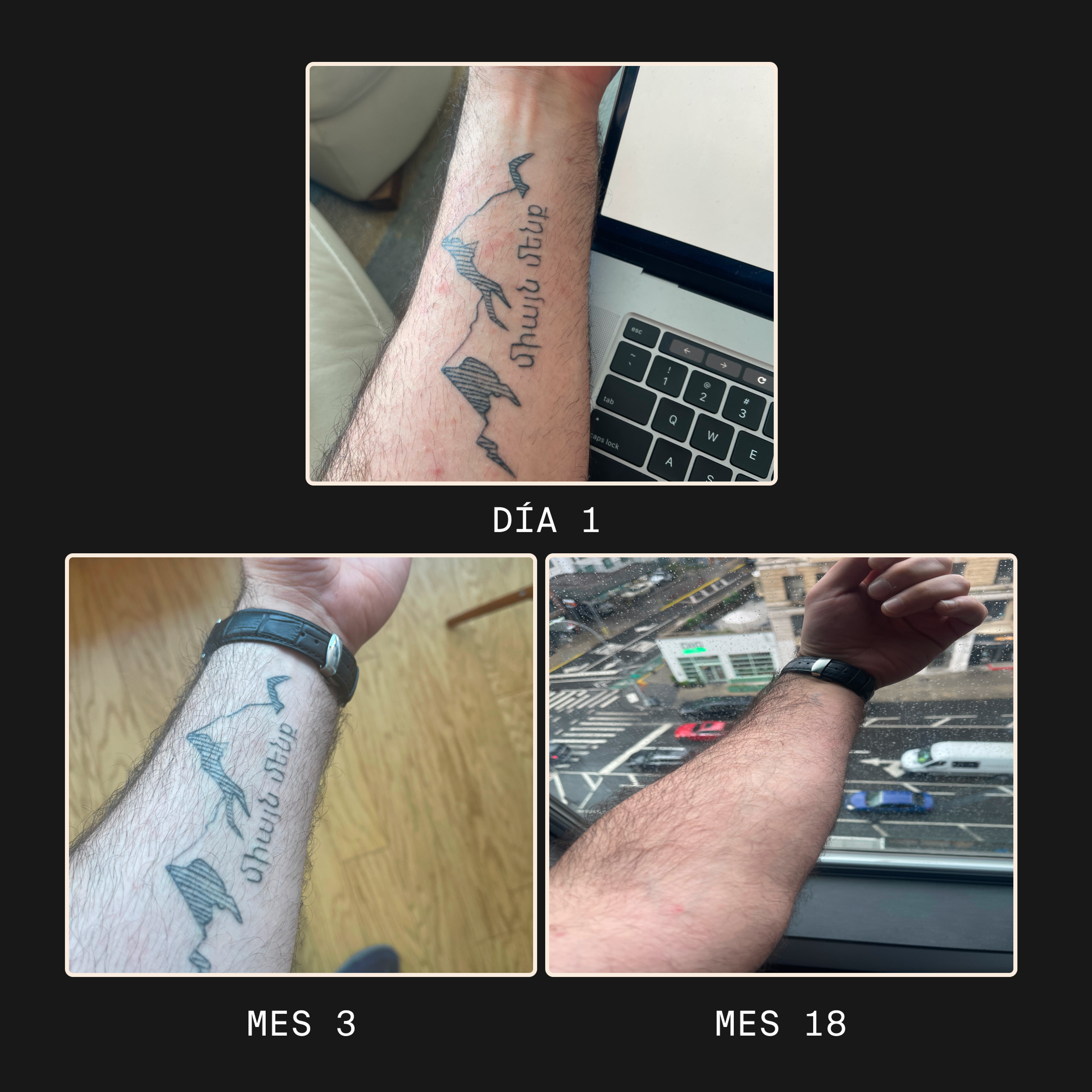 apik tattoo