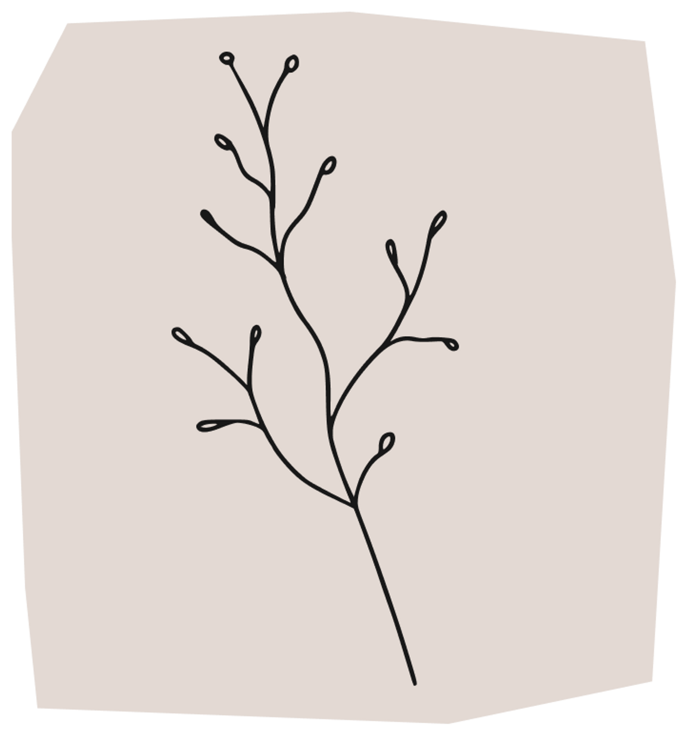 simple lines branch flower design