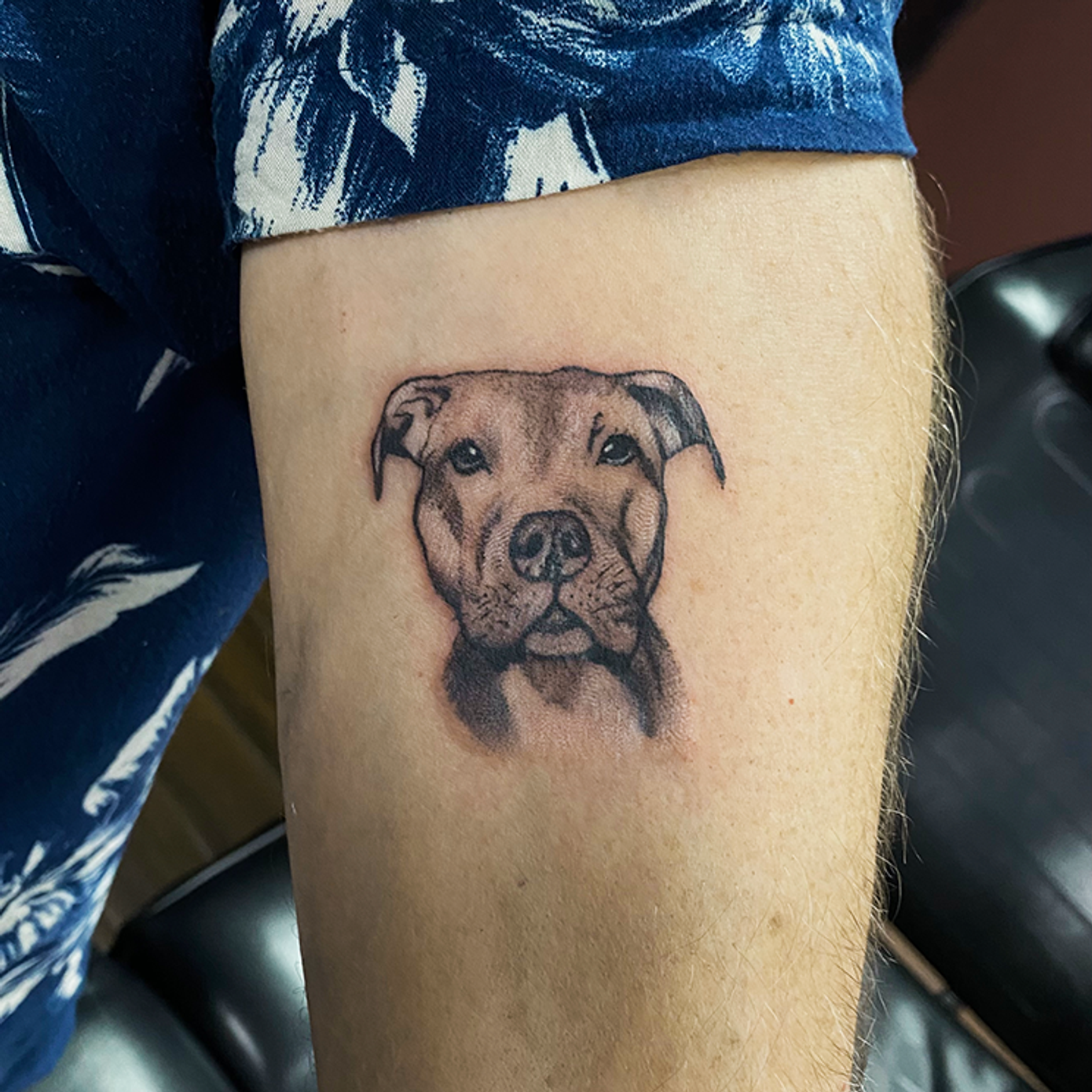 ephemeral being tattooed