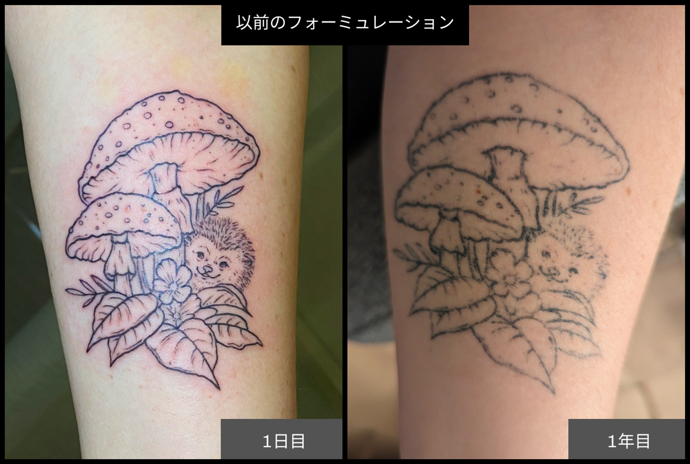 Temporary Mushroom Tattoo Reformulated Ephemeral