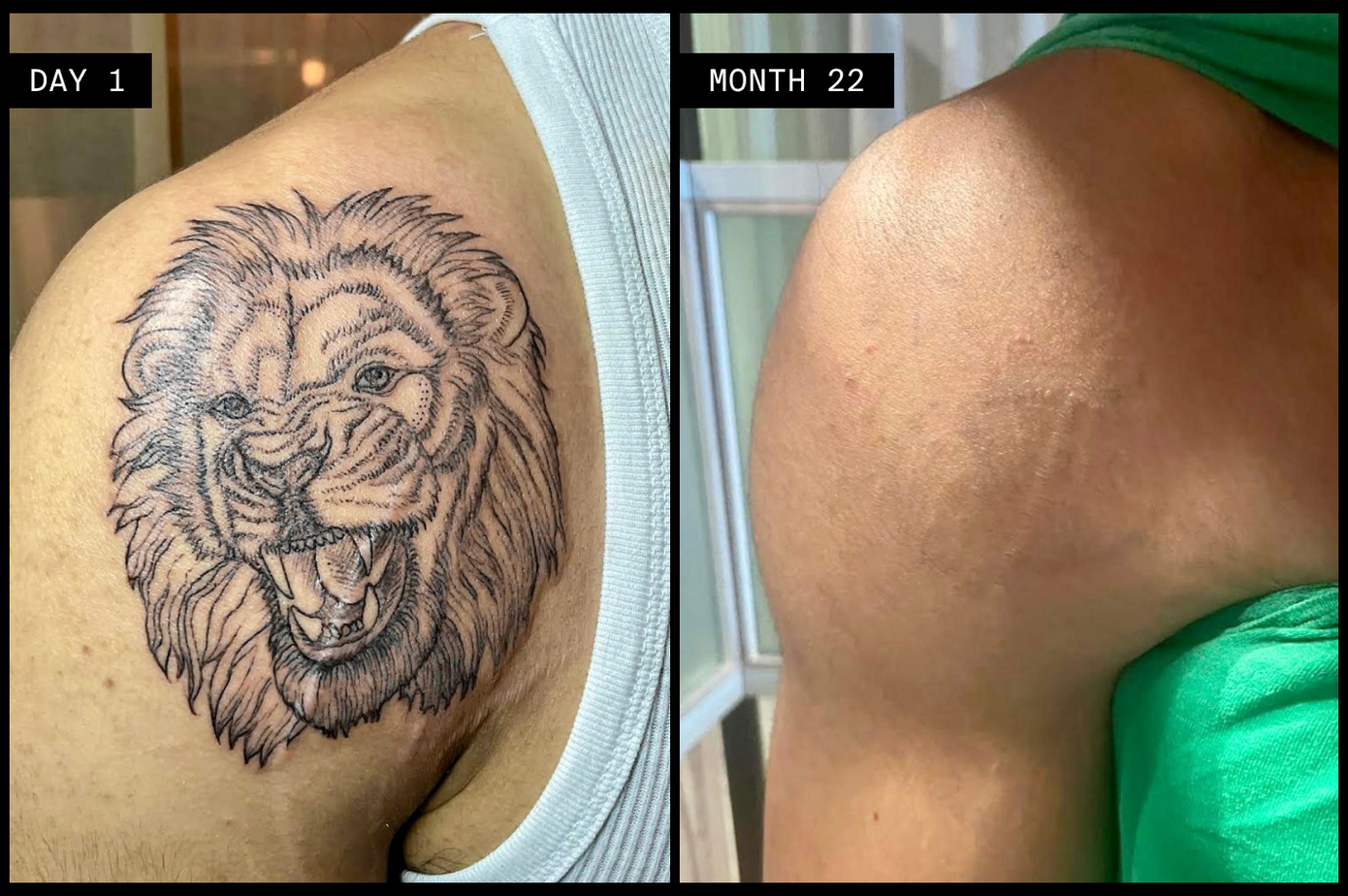 ephemeral lion tattoo