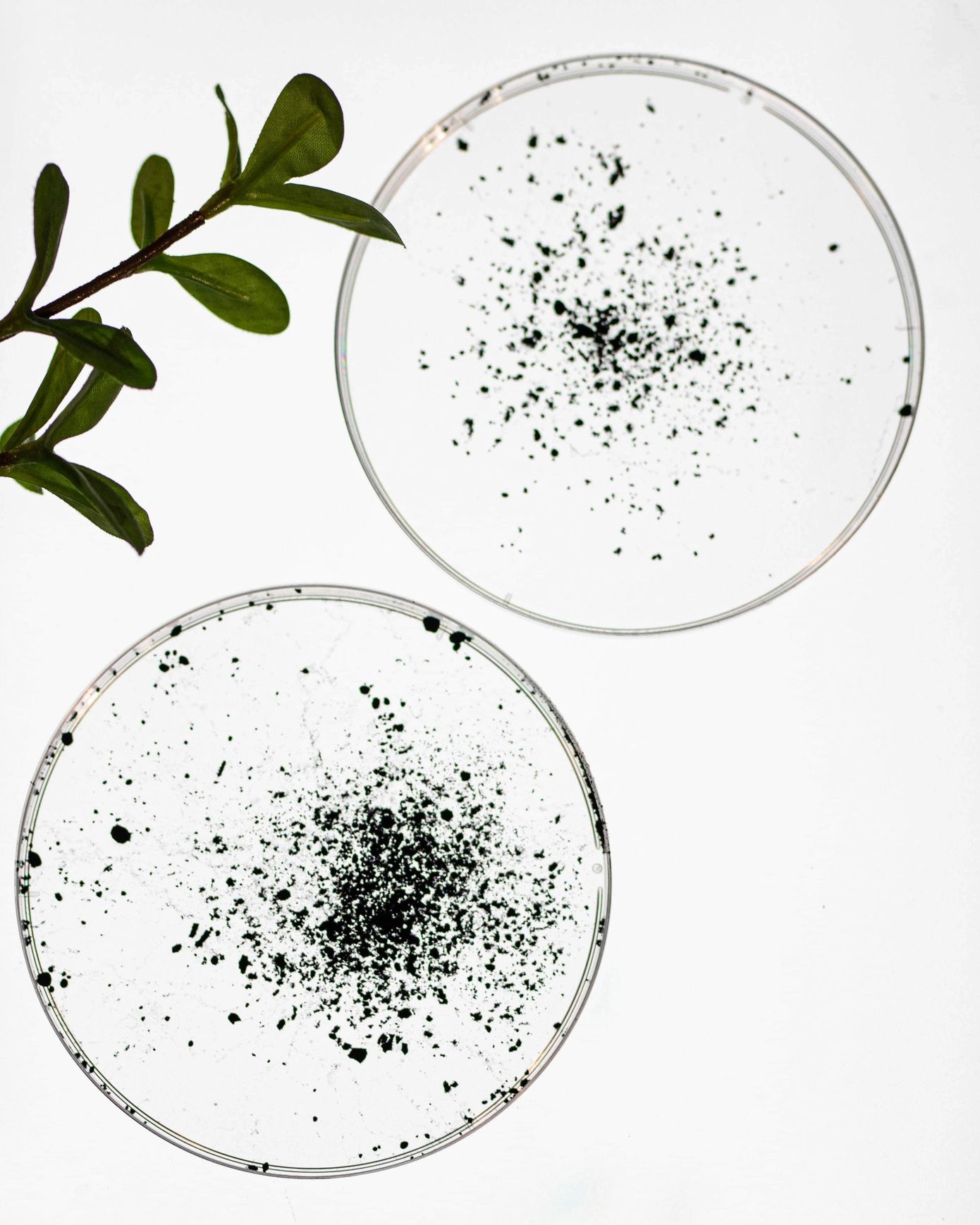how ephemeral tattoo ink works with ink particles disappearing