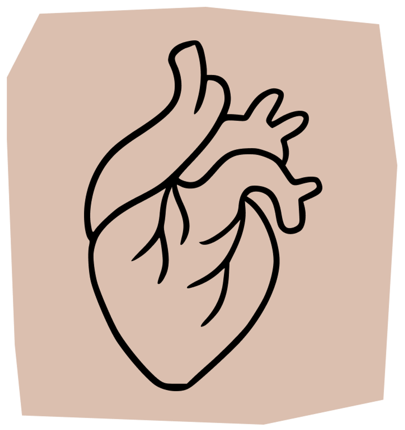 anatomical heart tattoo design