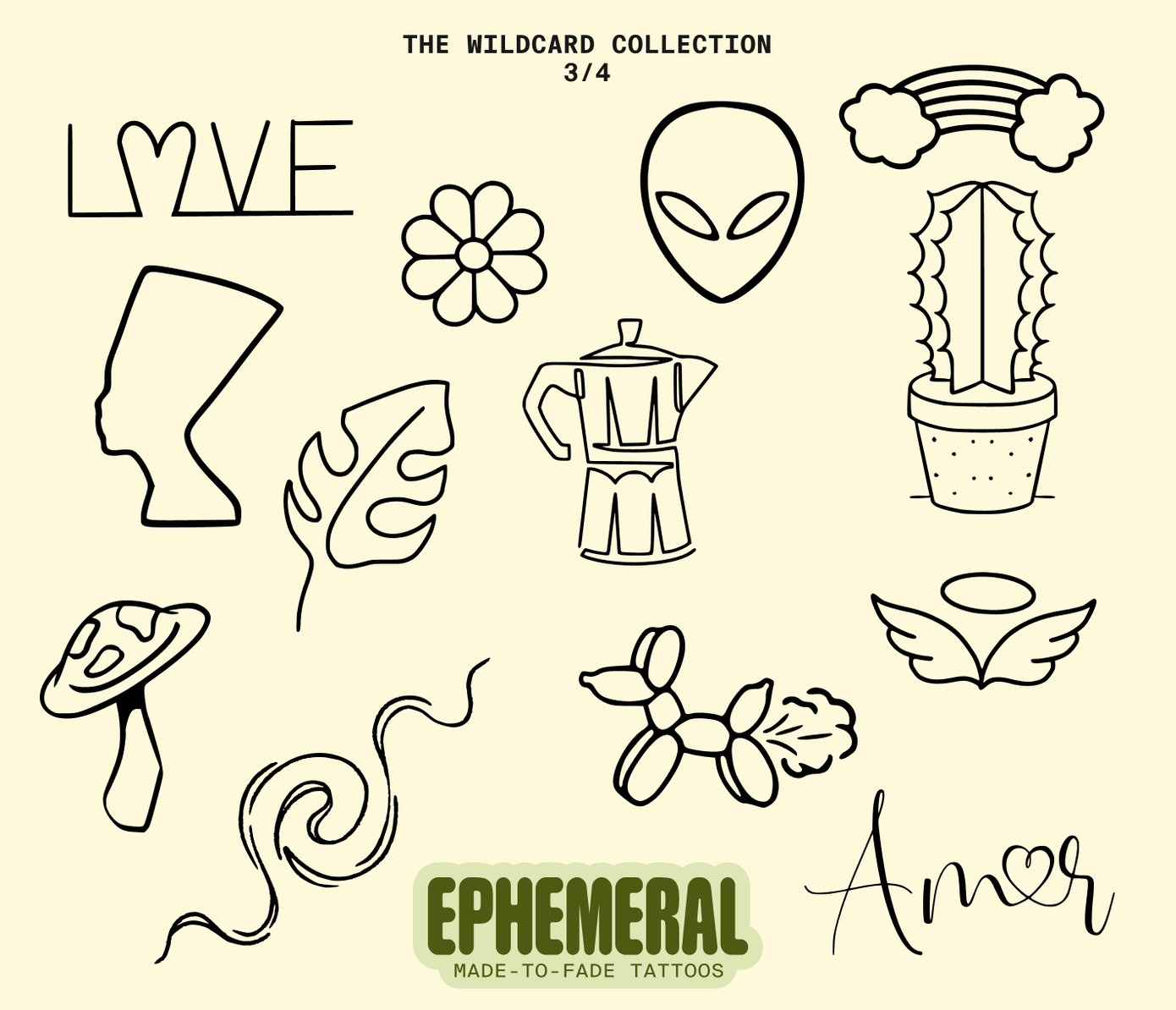 wildcard flash sheet 3