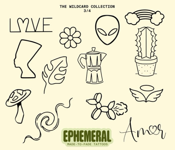 wildcard flash sheet 3