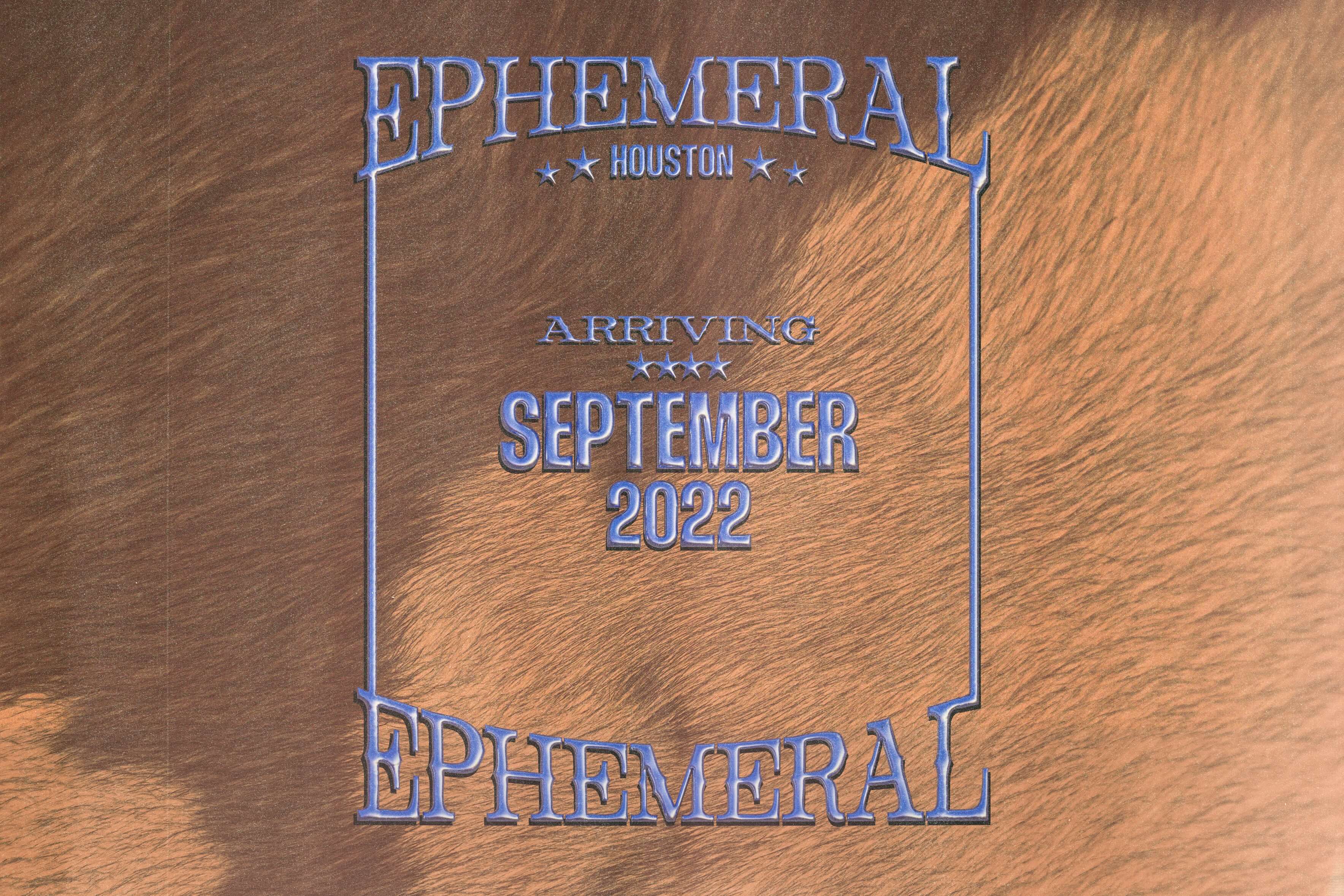 coming soon ephemeral tattoo studio in Houston