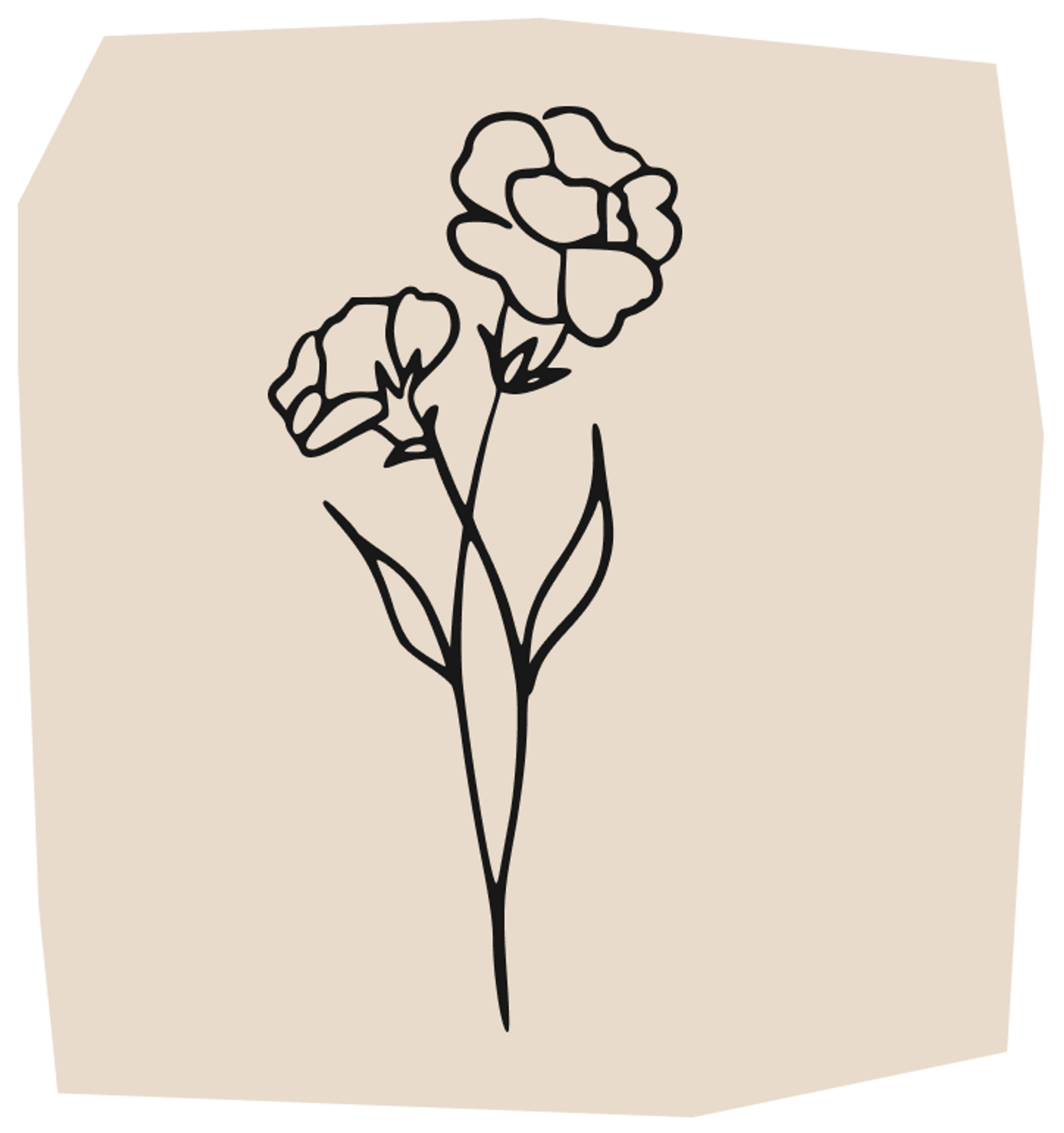 two carnation flowers tattoo design