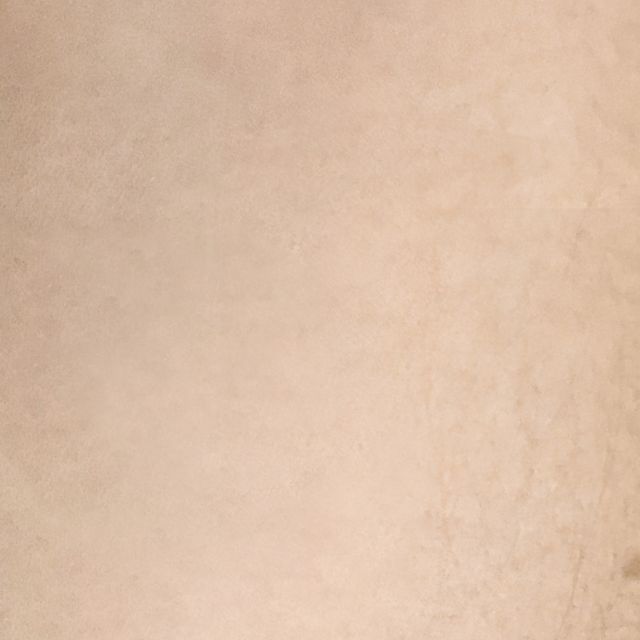 ephemeral temporary tattoo that lasts a year 12-15 month fully faded