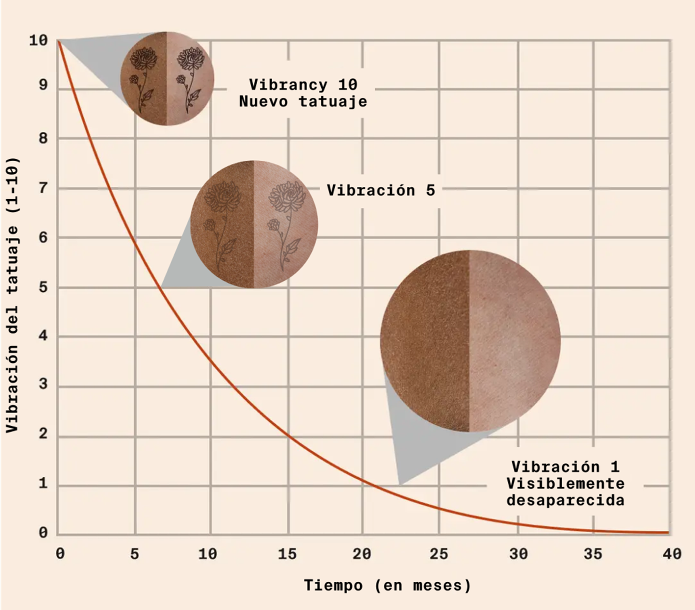 Fade vibrancy chart