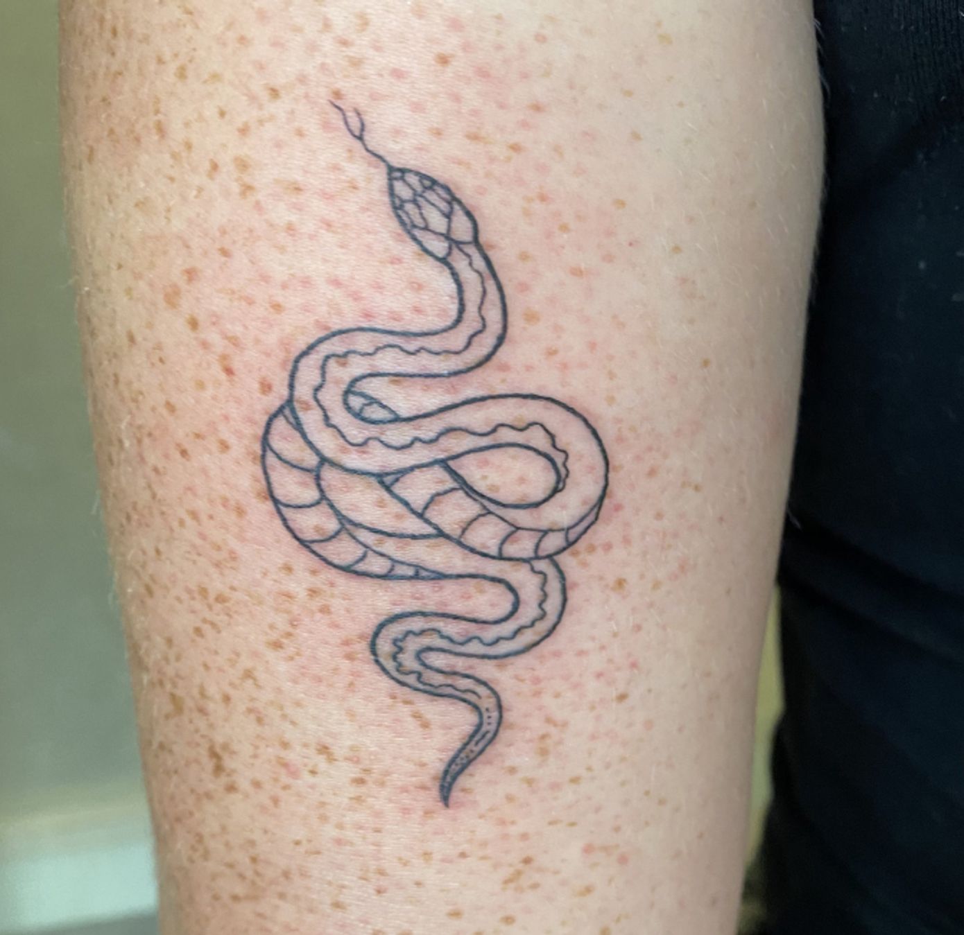 ephemeral-temporary-tattoo-snake-design-lines simple design