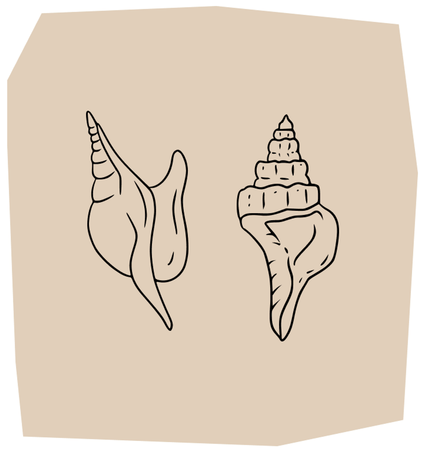 sea shell matching tattoos