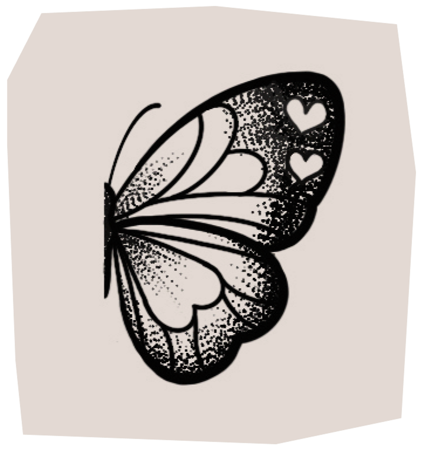 detailed butterfly wing