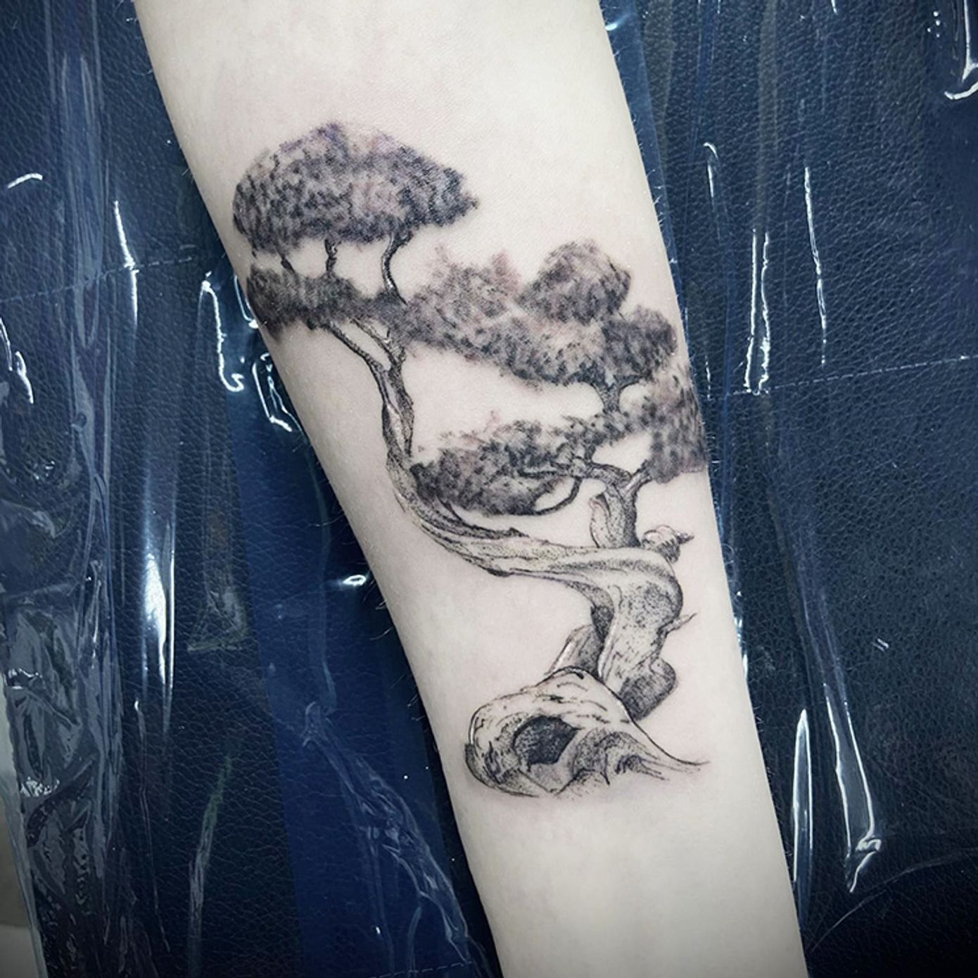 ephemeral being tattooed