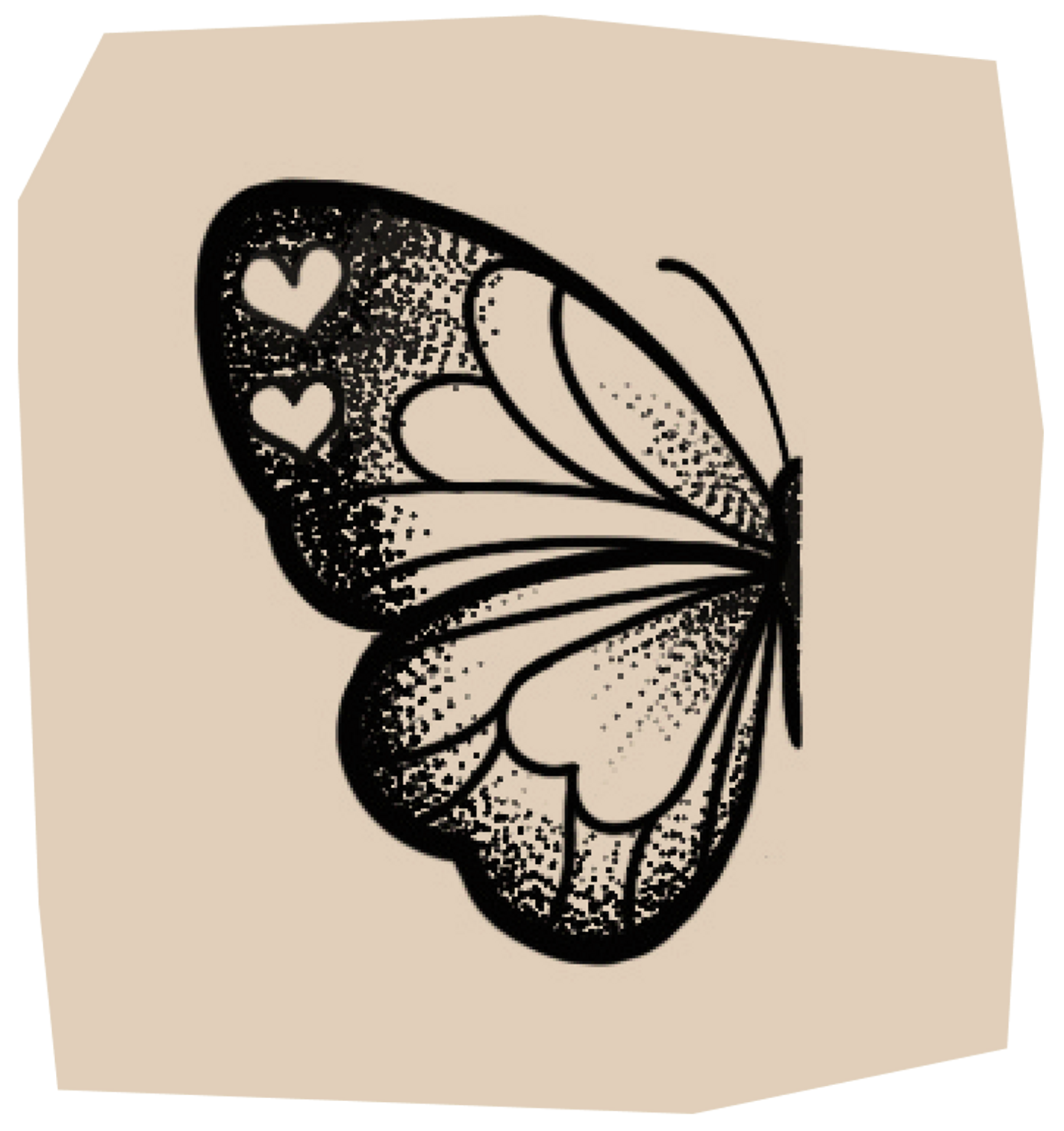 detailed butterfly wing