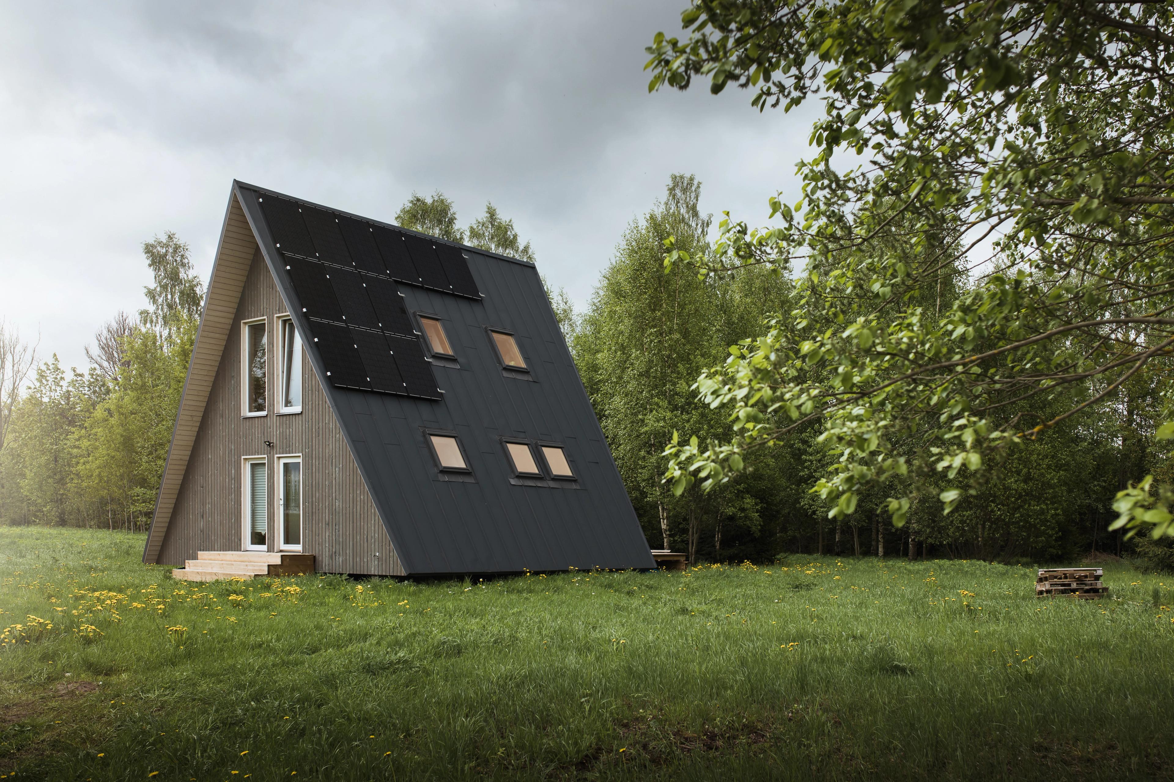 A modern A-frame cabin with sustainable features is positioned in a grassy field with yellow dandelions and a birch forest in the background. The cabin has light-colored vertical wood siding on the front facade and a large, steep black metal roof that reaches the ground. Multiple black solar panels are mounted on the roof, which also has small rectangular roof windows. A gloomy, overcast sky is overhead.