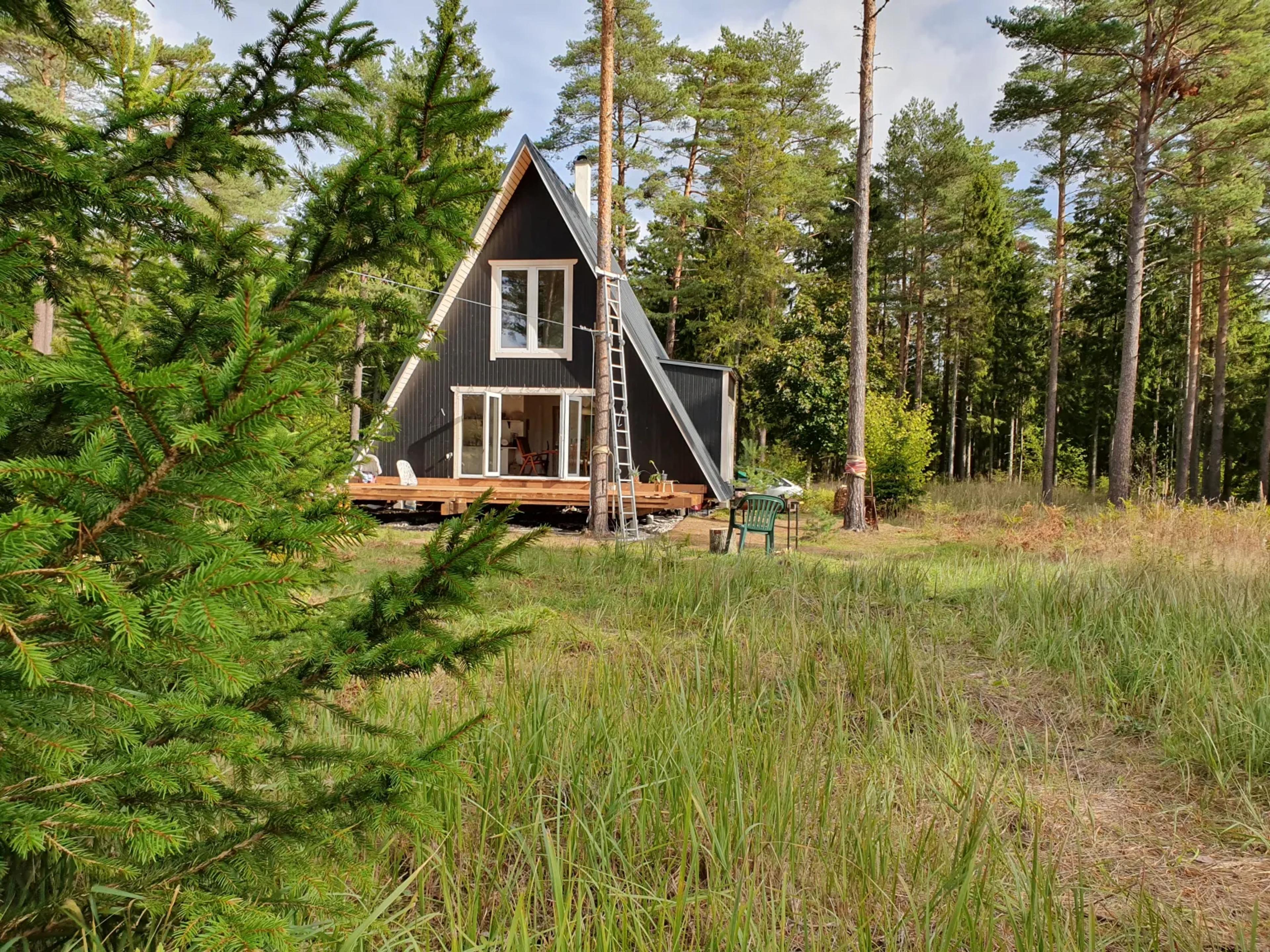 A dark-colored A-frame cabin with a wooden deck is nestled within a dense evergreen forest, viewed from a grassy field through evergreen branches.