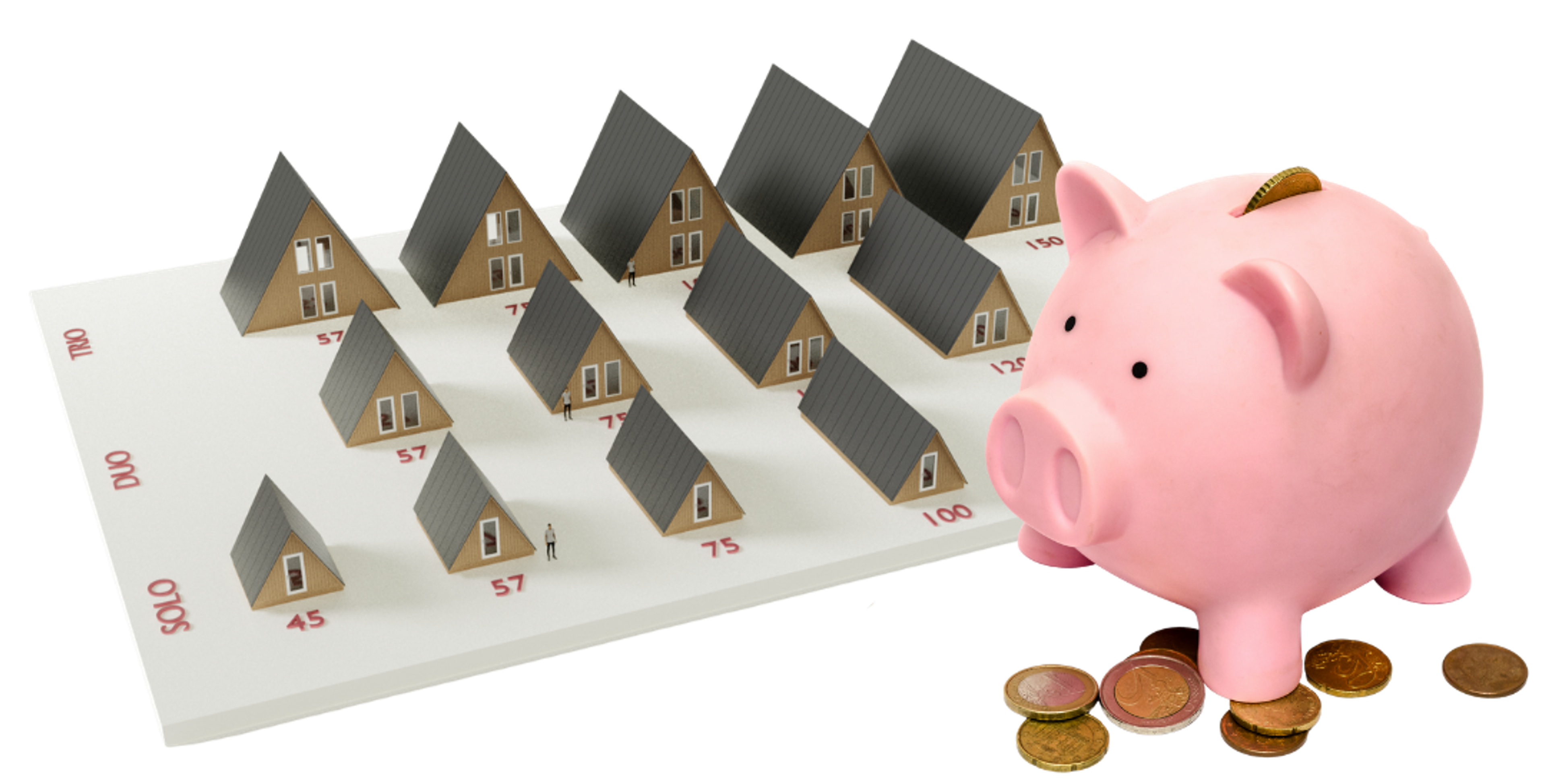A pink piggy bank with Euro coins sits next to a chart displaying miniature A-frame house models categorized by the Solo, Duo, and Trio series.