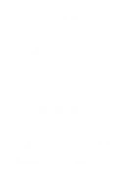 B Corp