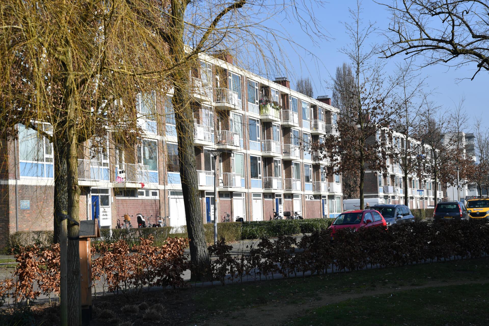 Van losse bouw-app naar Common Workspace: wat het verschil is en waarom het ertoe doet