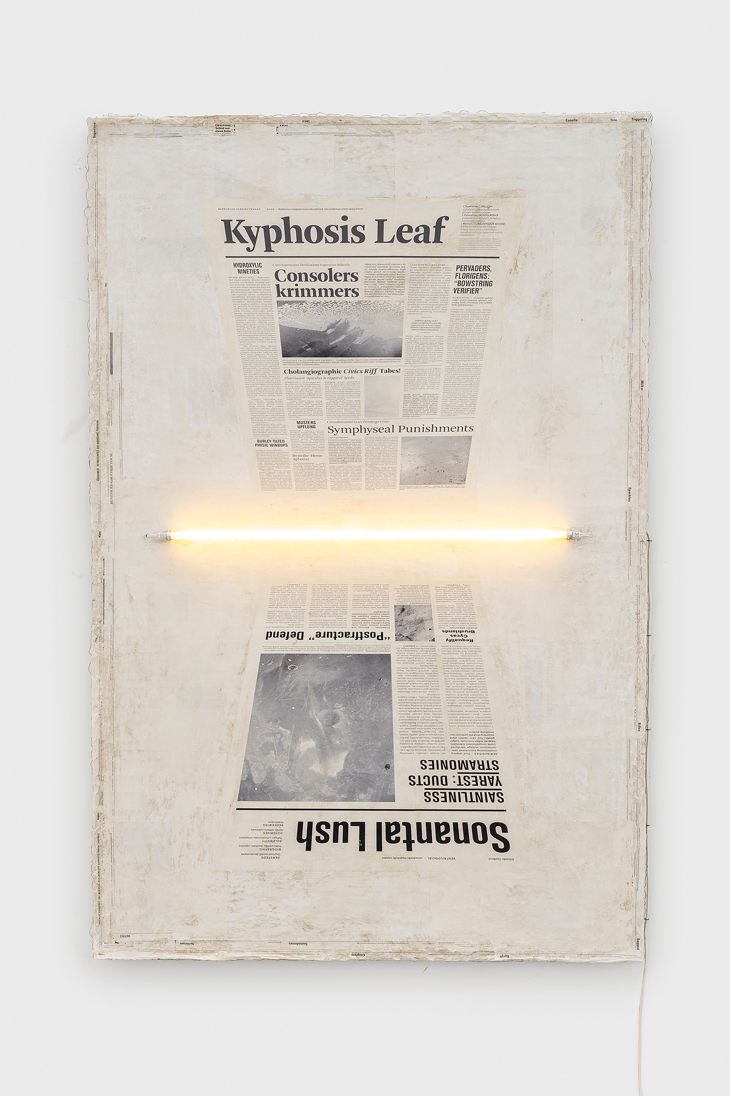 Mark Manders - Modern Art