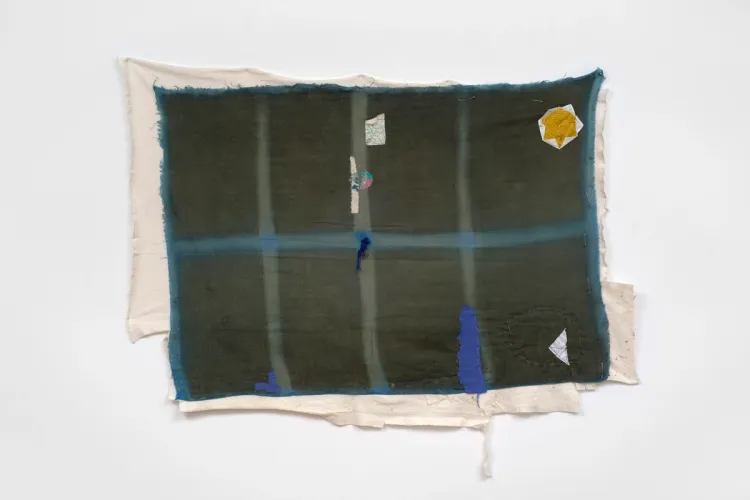 Susan Cianciolo , ‘This is the New Earth: The Galactic Field, Susan ...