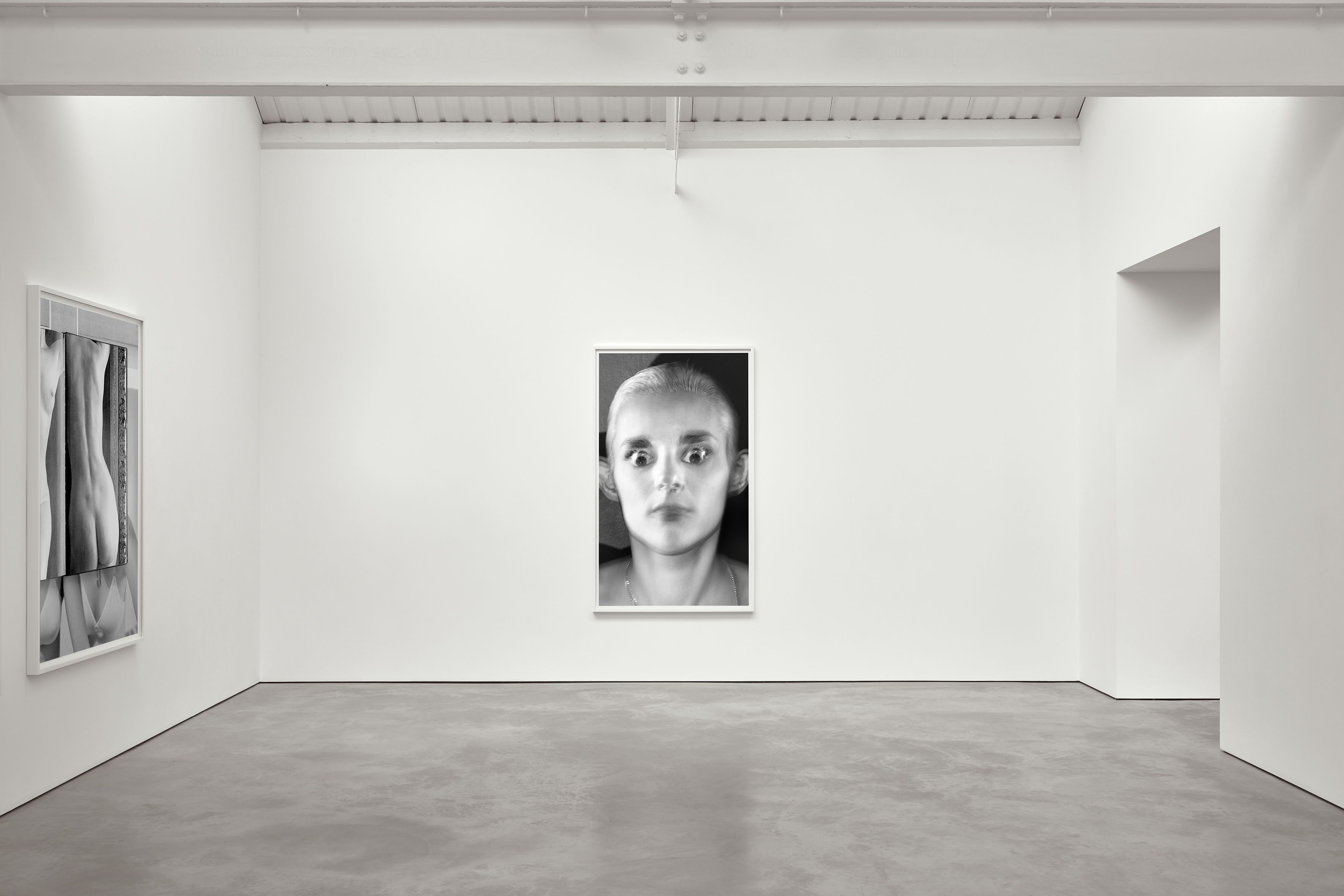 Collier Schorr, 'In Front of the Camera' - Modern Art