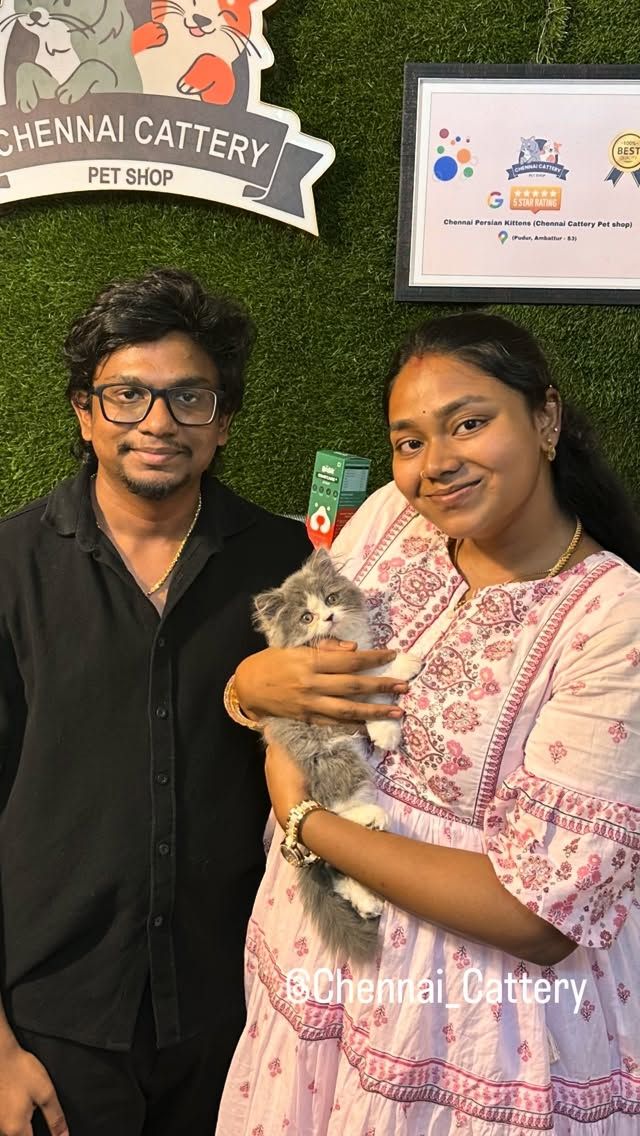 A happy homecoming at Chennai Cattery