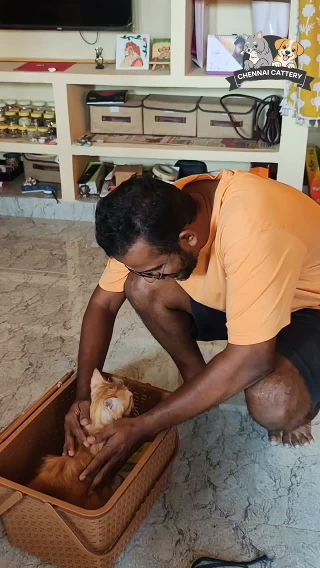 A comfortable boarding guest