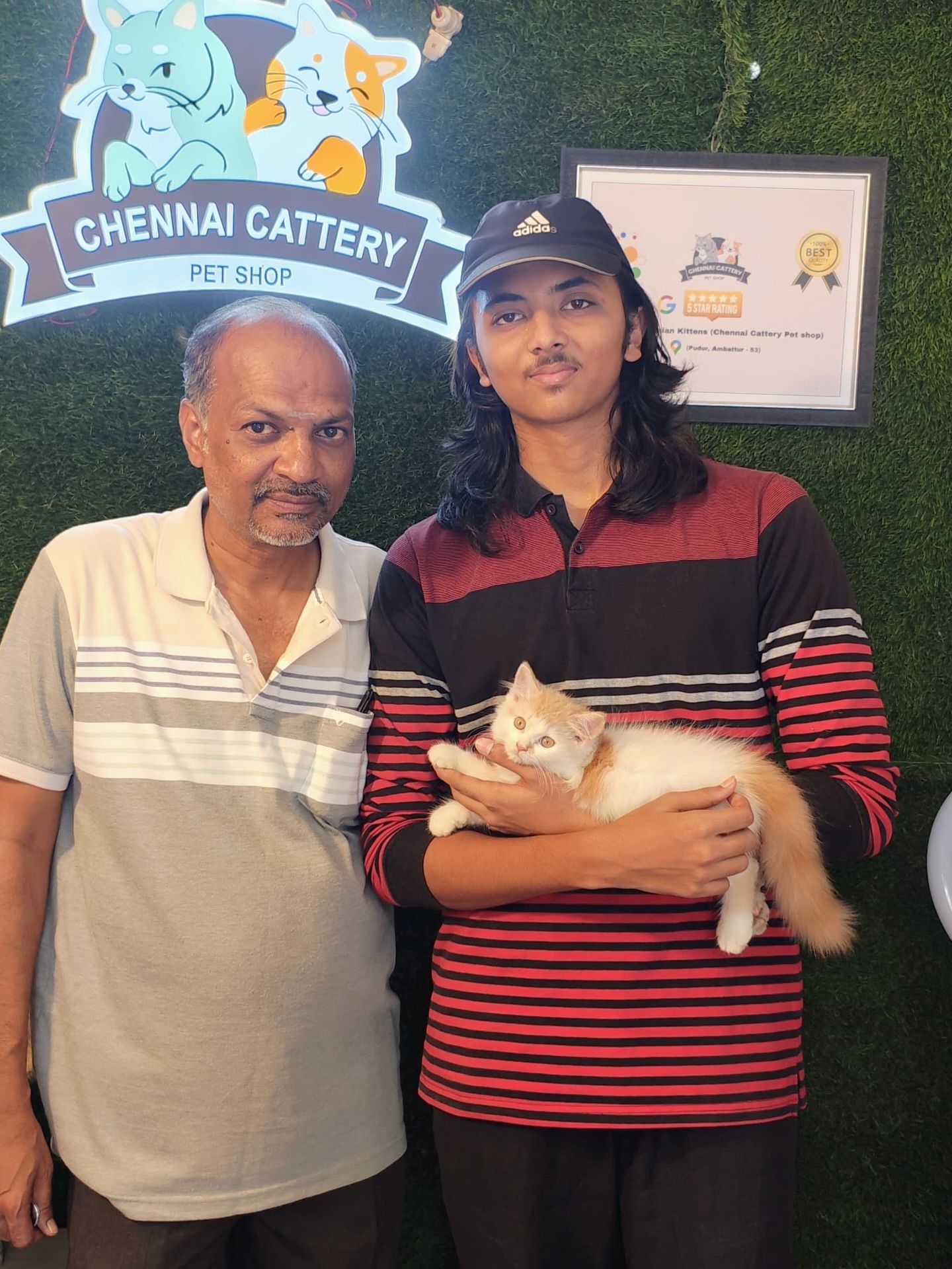 A playful day at Chennai Cattery