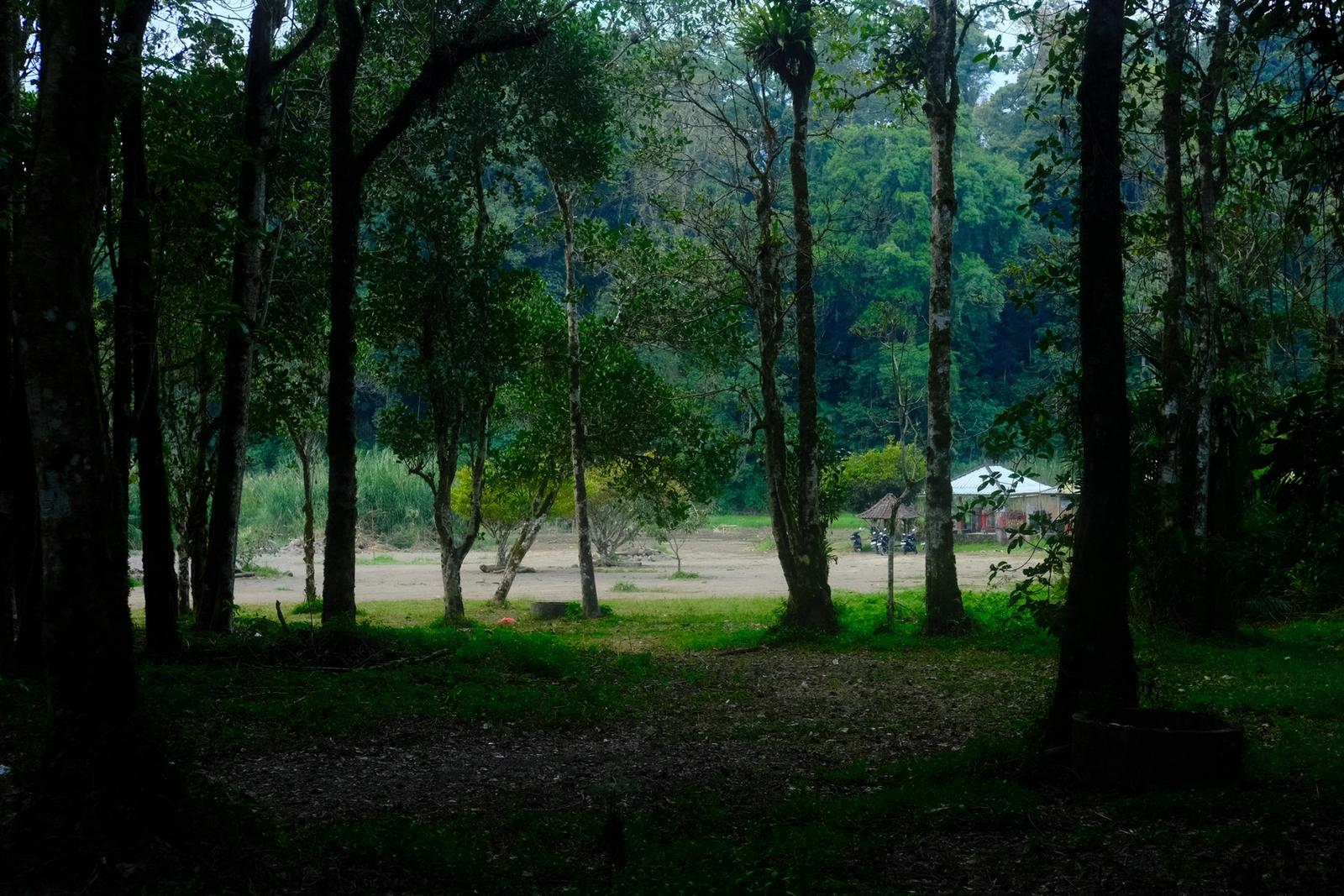Hutan Alas Mertajati