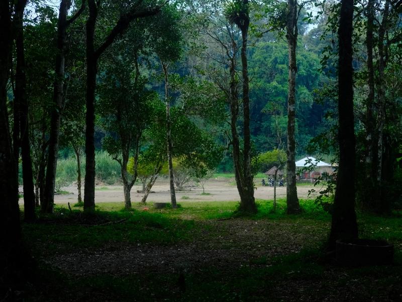 Hutan Alas Mertajati