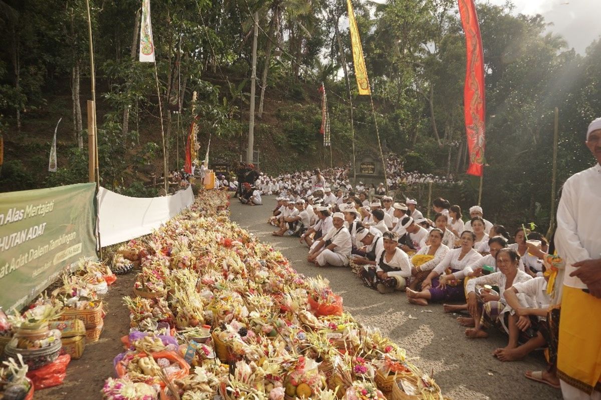 Karya Dalu