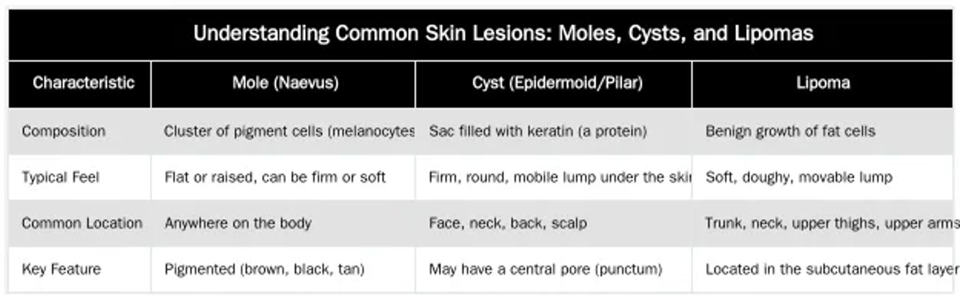 Understanding Common Skin Lesions: Moles, Cysts, and Lipomas — The Patient